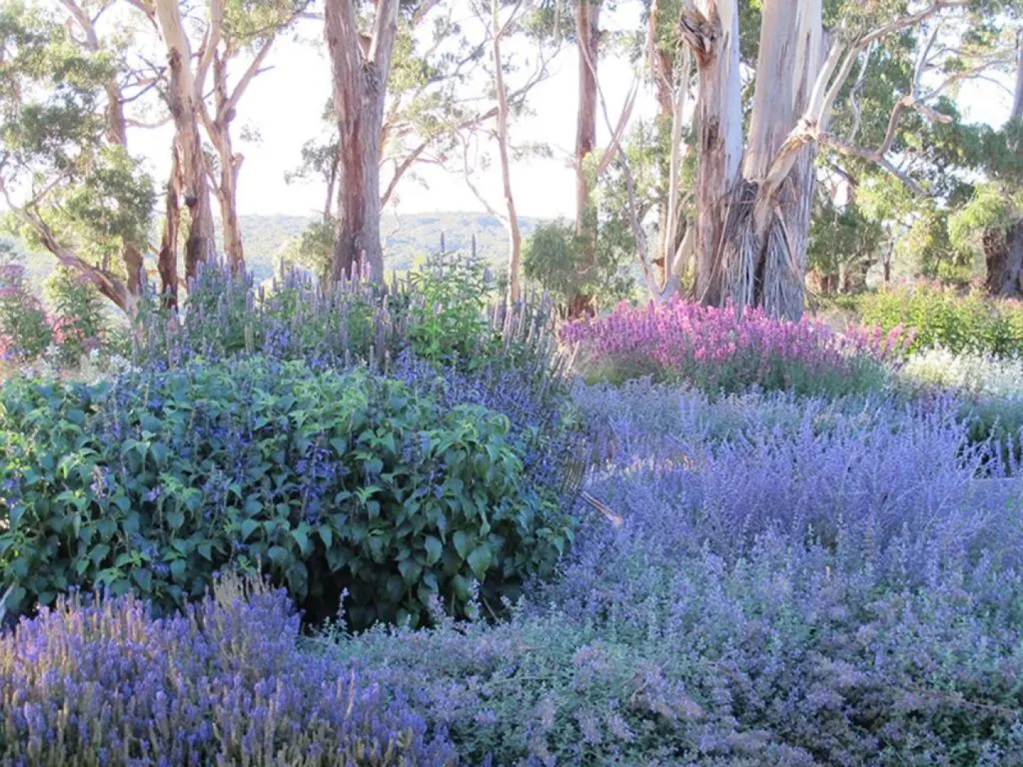 Paul Bangay The Farmhouse