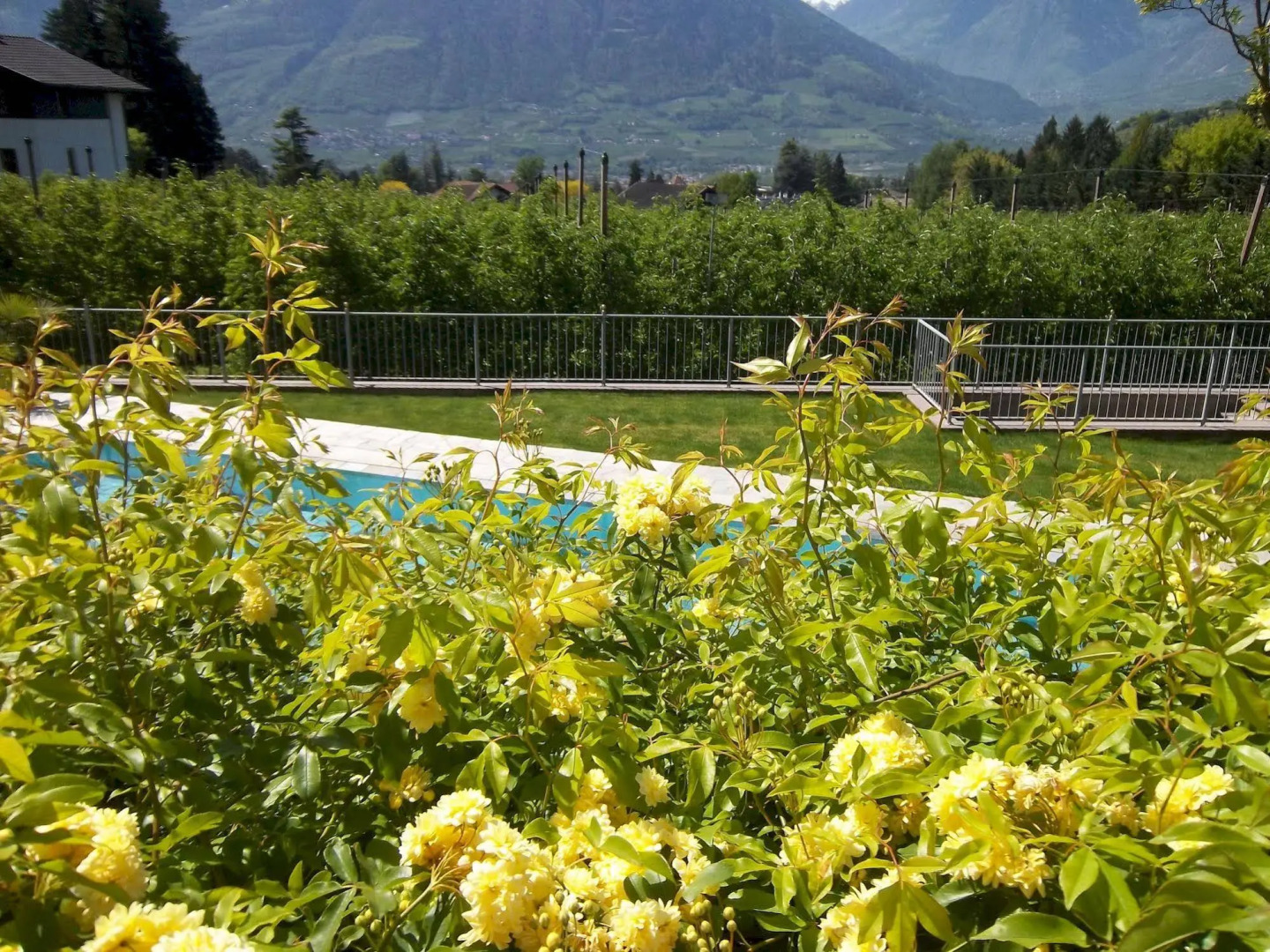 Hotel Pension Verdorfer