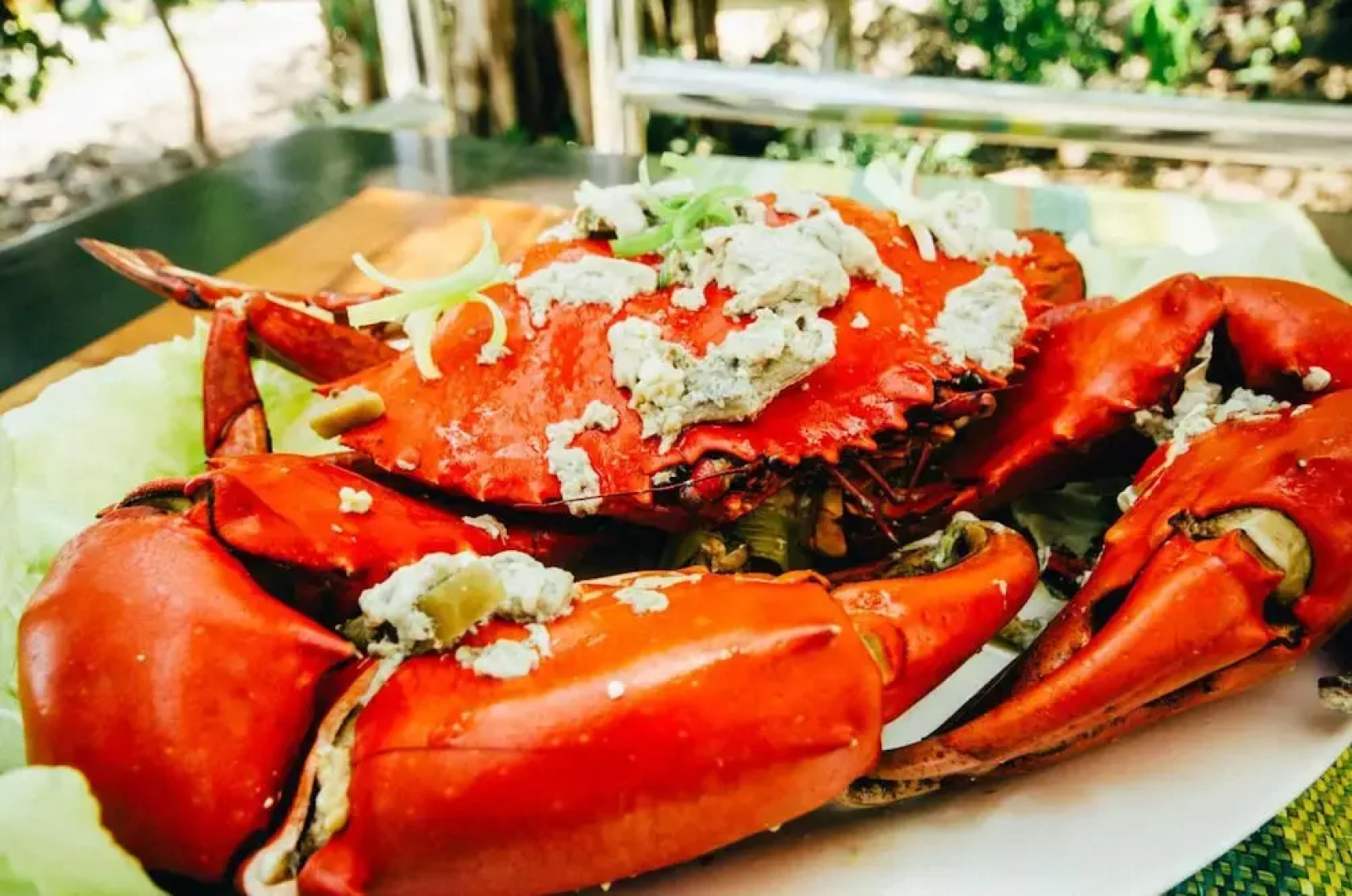 Anda Pearl Premier Resort