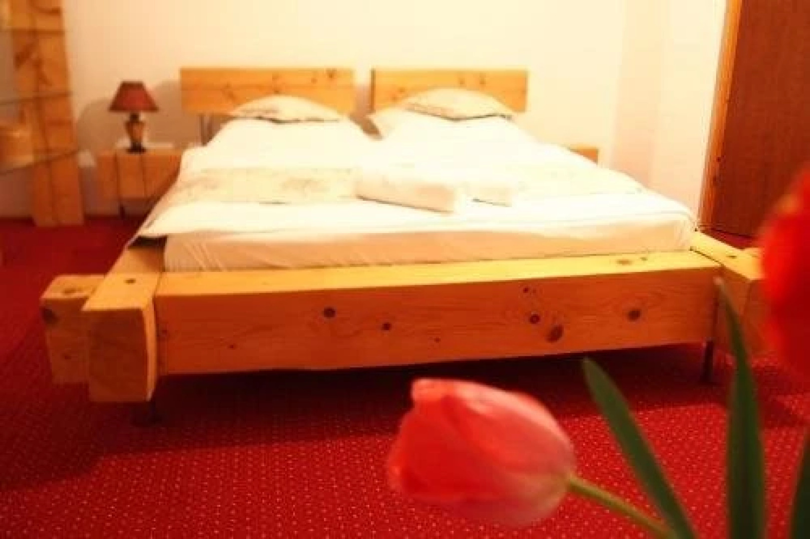 Pensiunea Vidra de Sus