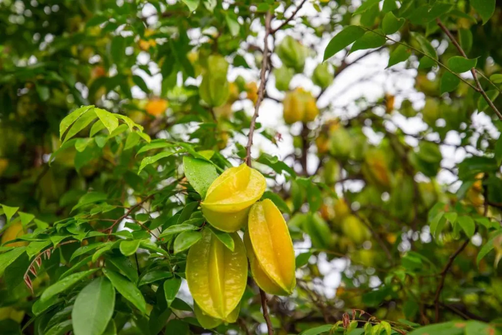 Affordable Luxury on One Acre