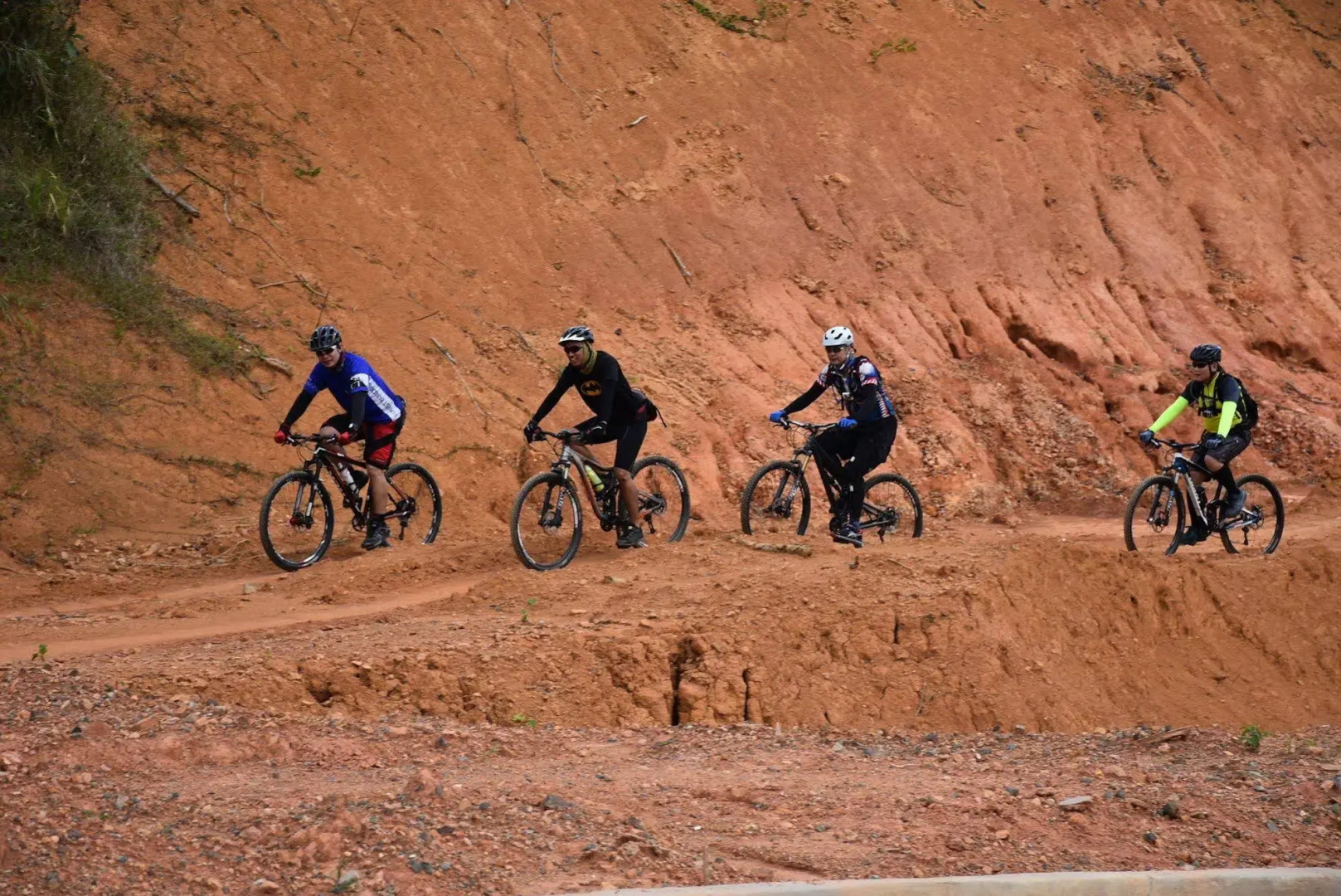 The Leaf at Timberland Heights