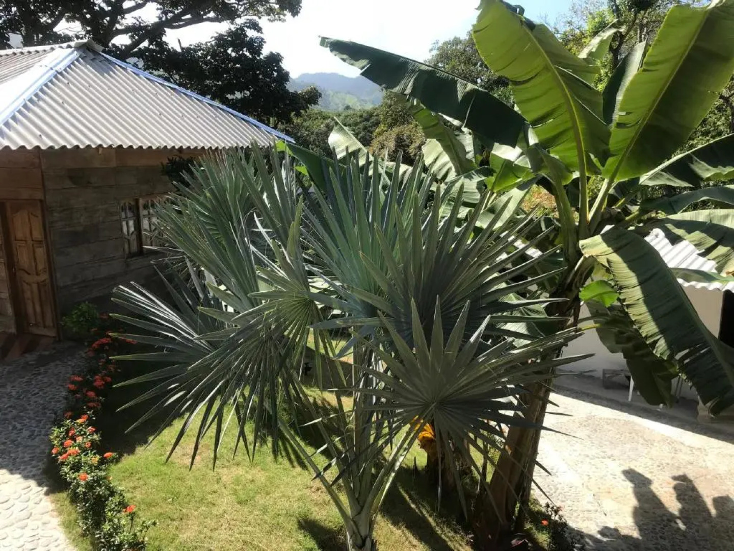 Deep Forest Posadas Ecoturisticas