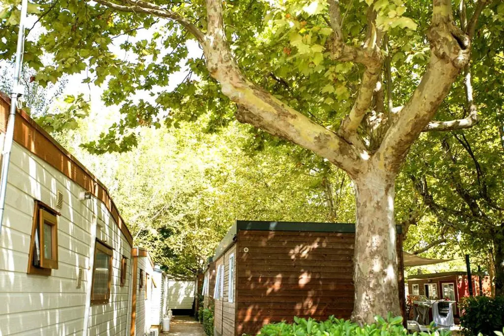 Italian Holidays Mobile house in Ameglia