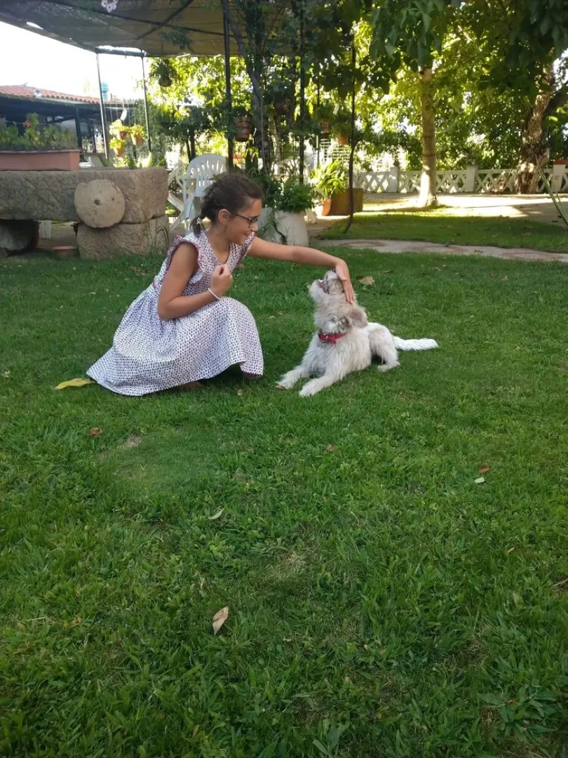 Casa Rural del Corral y Apartamentos