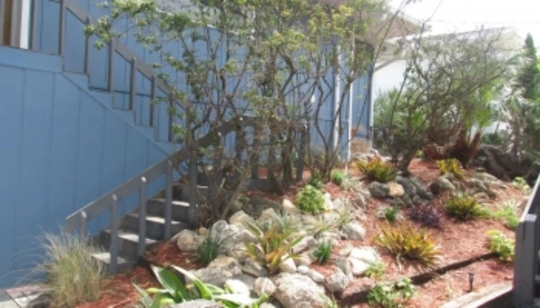 Serenity by the Sea - 4 Bedroom 4 Bath - Oceanfront Pool Home