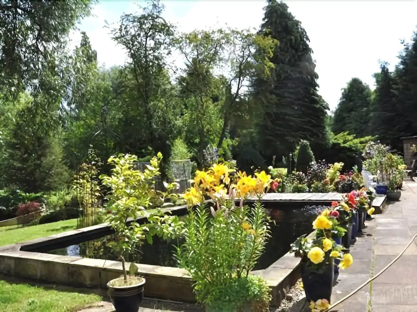 The Willows Bed & Breakfast