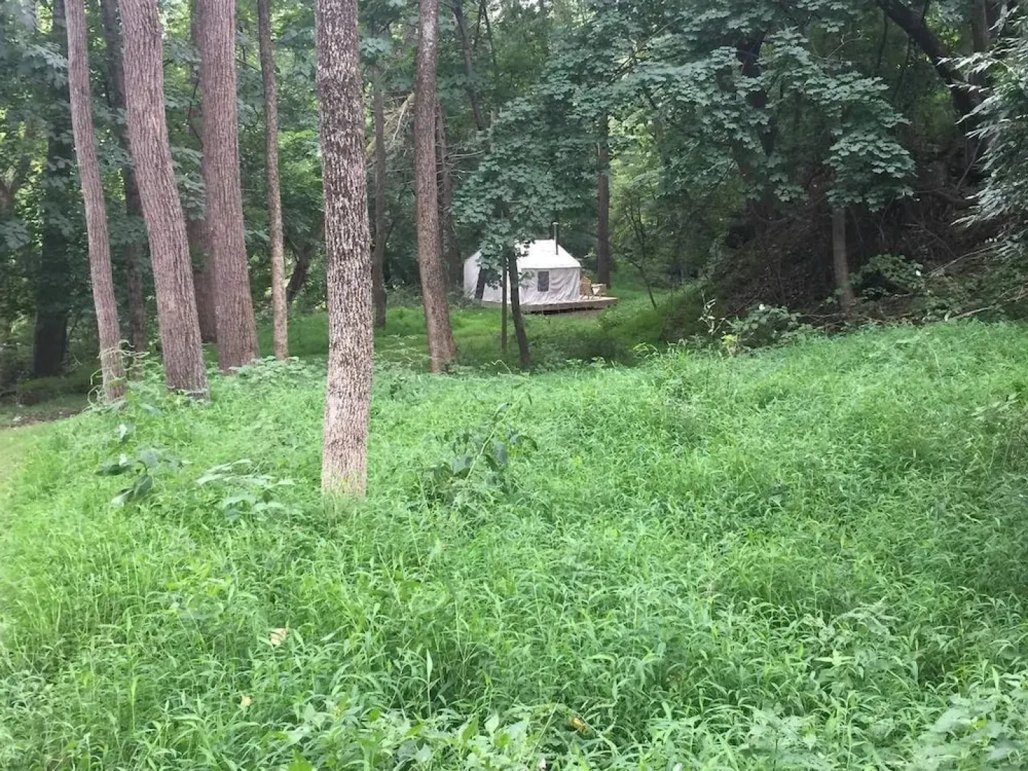 Tentrr - Sycamore Hill Farm Creekside