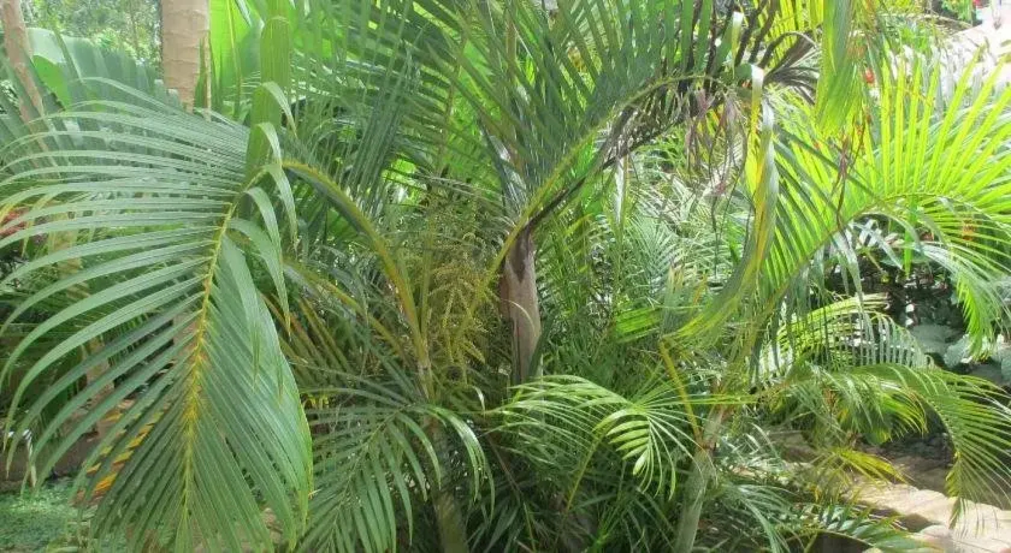 Tunas Lodge