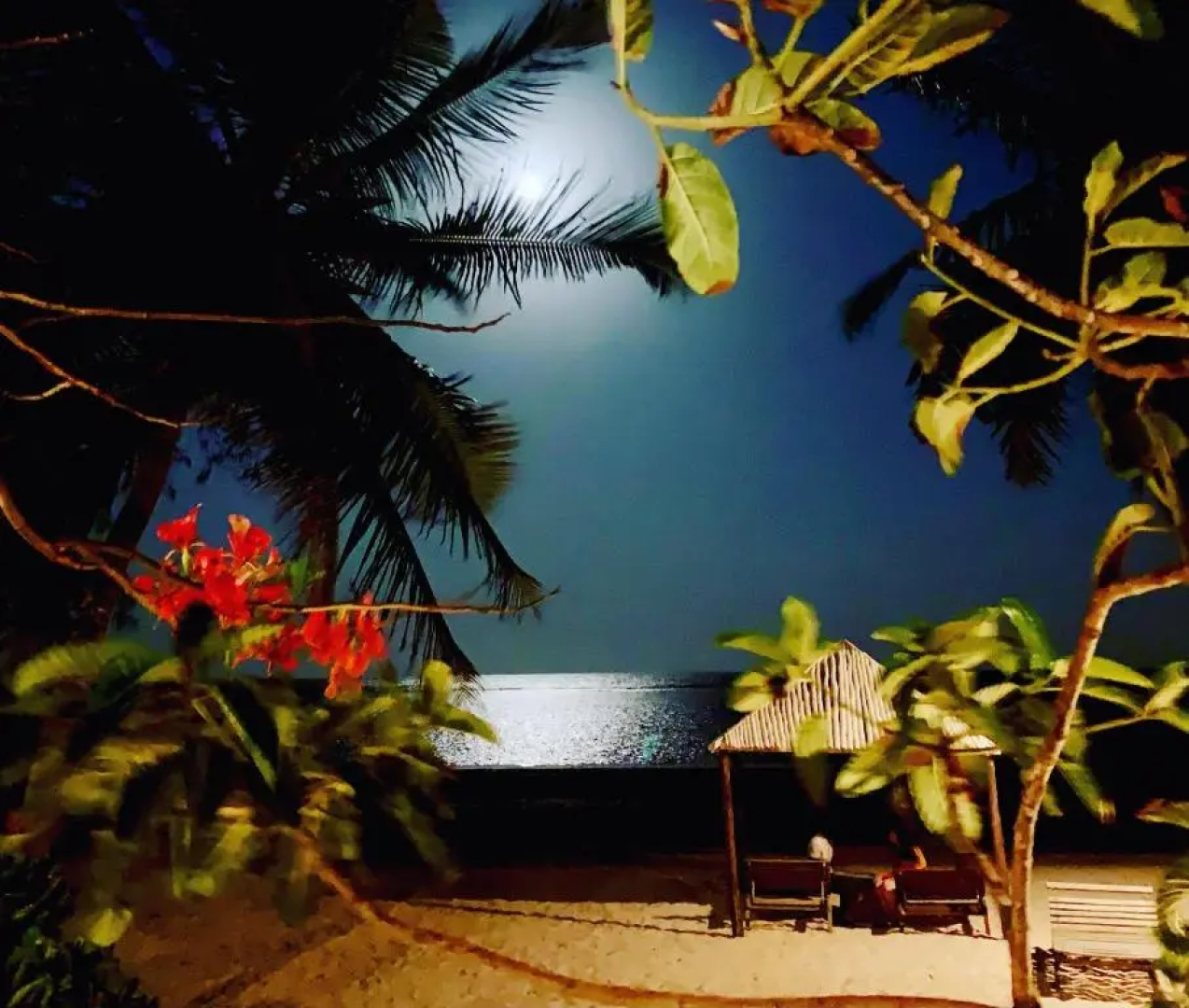 White Elephant Sea Lodge
