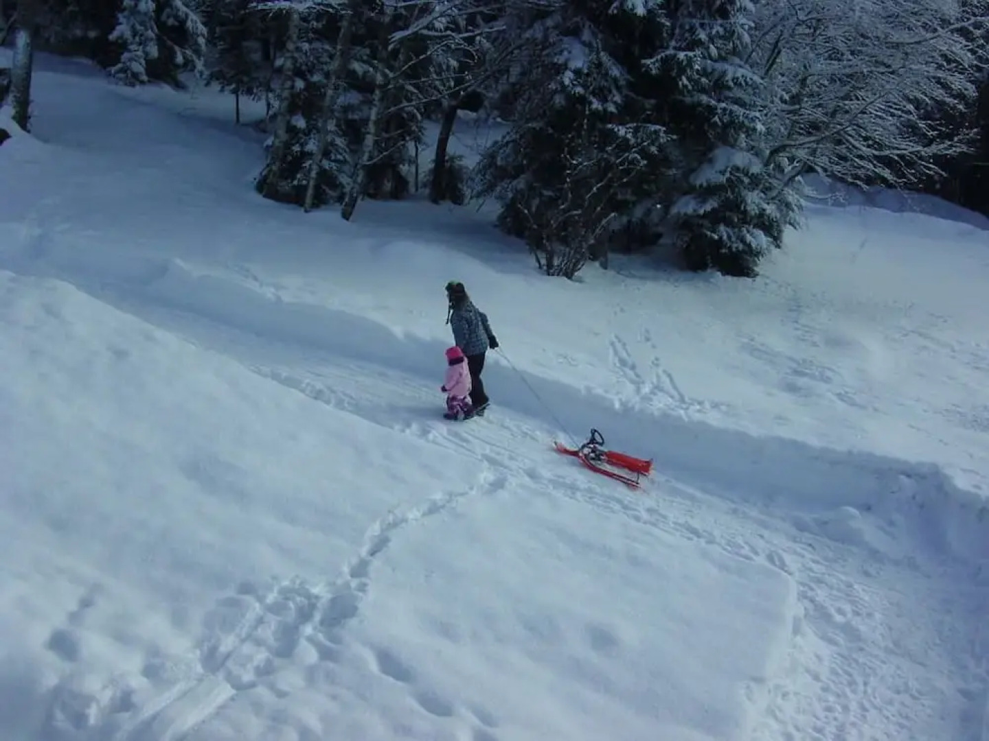 Pension Haus Waldesruh