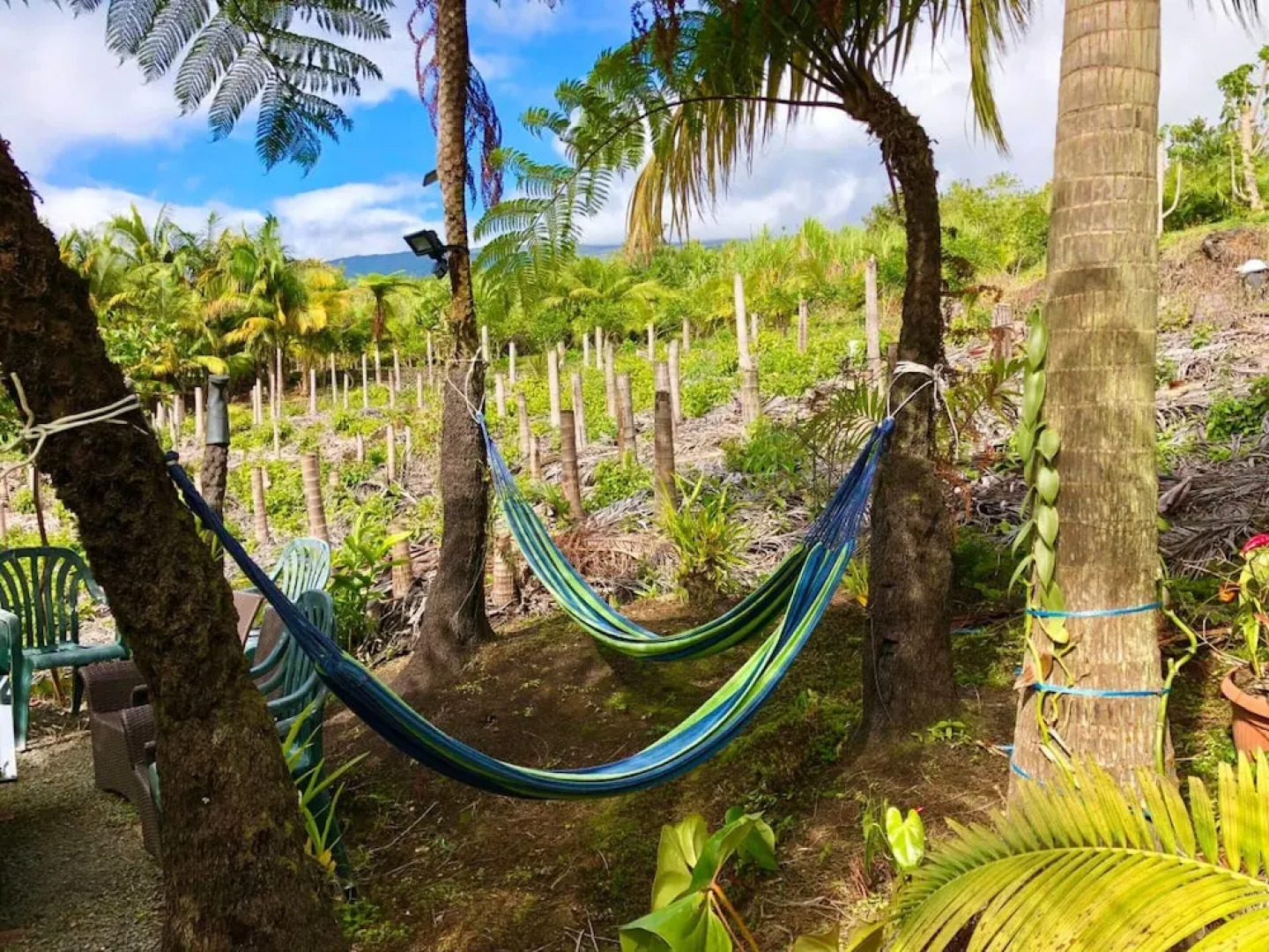 House With 2 Bedrooms in Saint benoît, With Wonderful sea View and Enclosed Garden