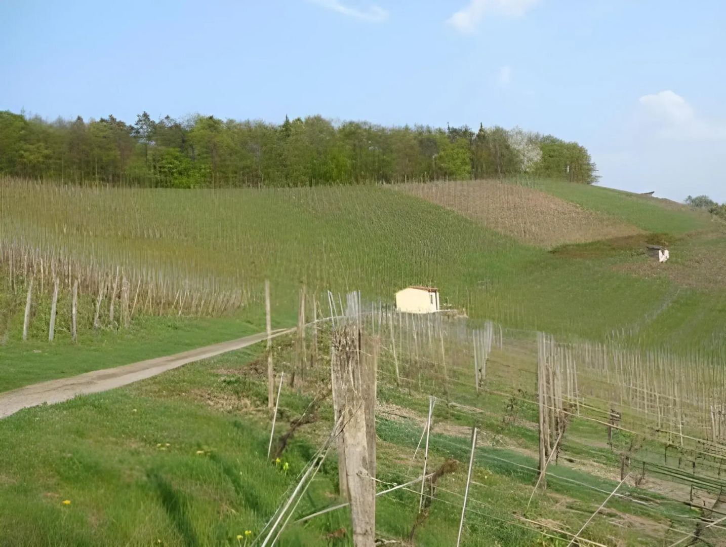 Wengerterstube & Gästezimmer Kern