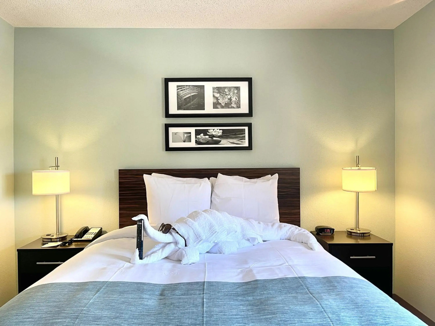 Wingate by Wyndham Salisbury