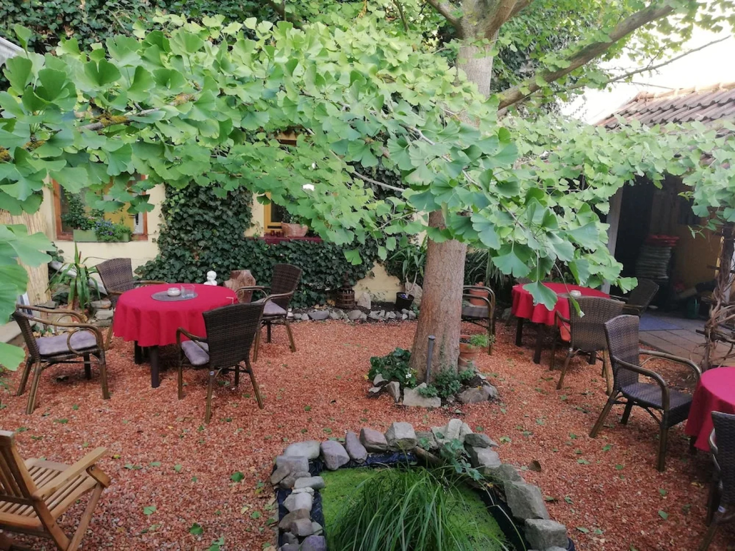 Hotel zum Ginkgobaum