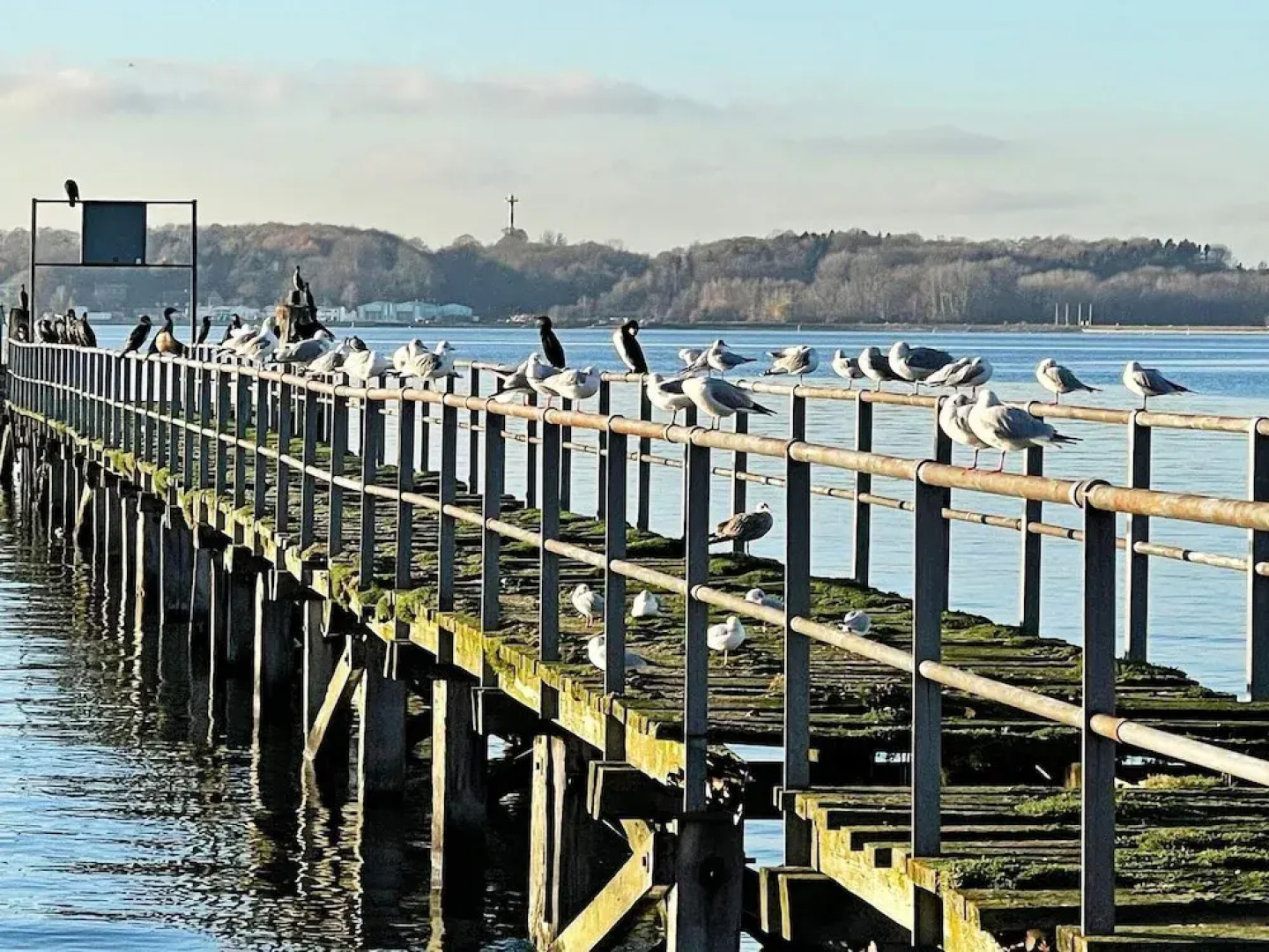 Holiday Home in Wendtorf