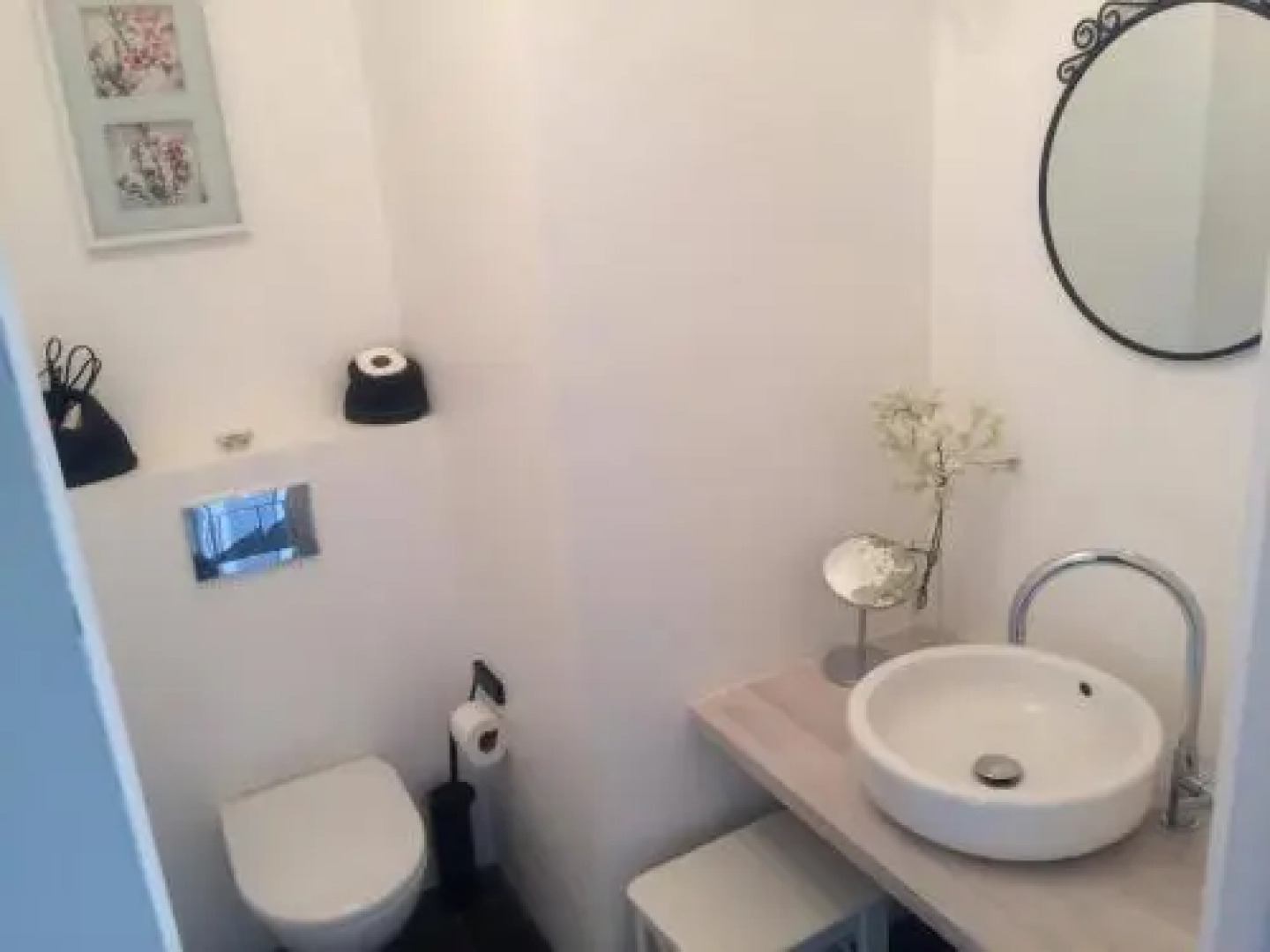 Chamedafne w Puszczy Kampinoskiej