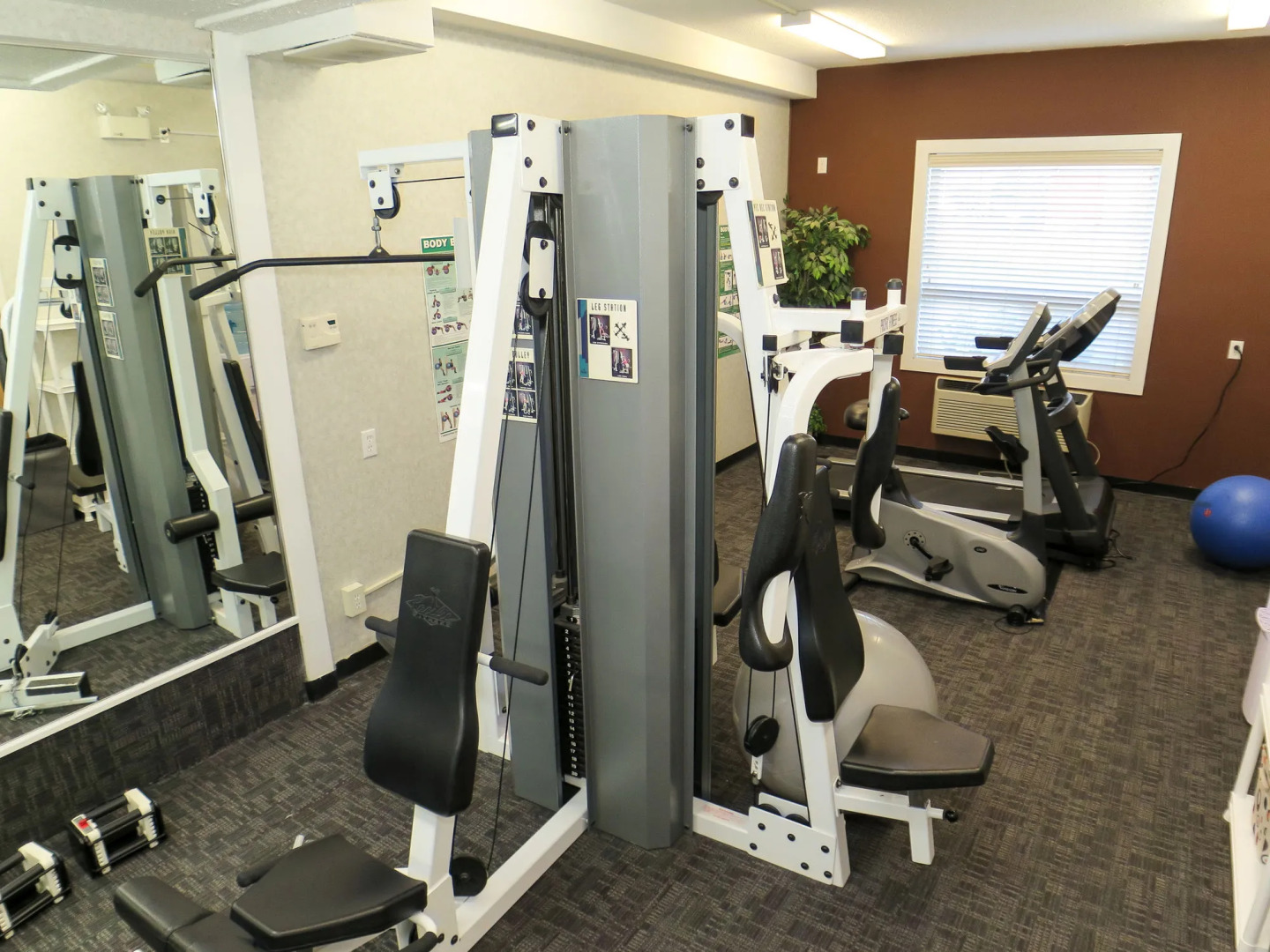 Comfort Inn & Suites Medicine Hat