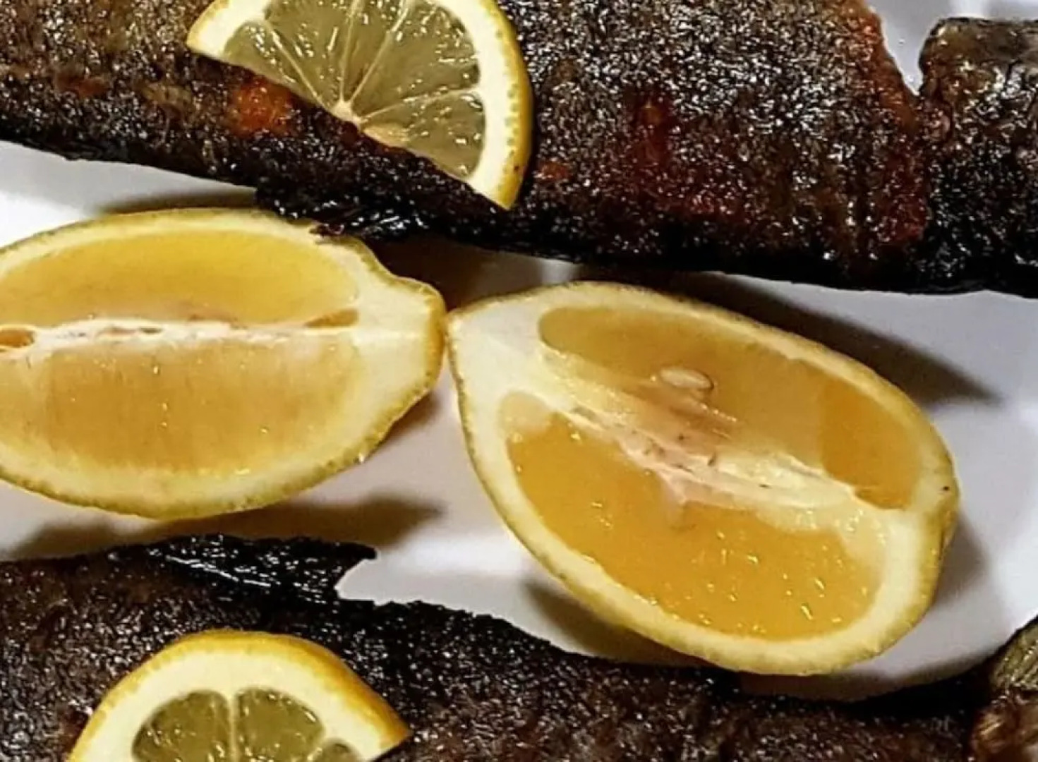 Etno village and camp RT