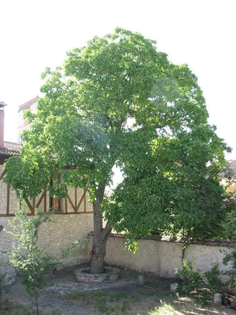 Apartahotel santa Marina