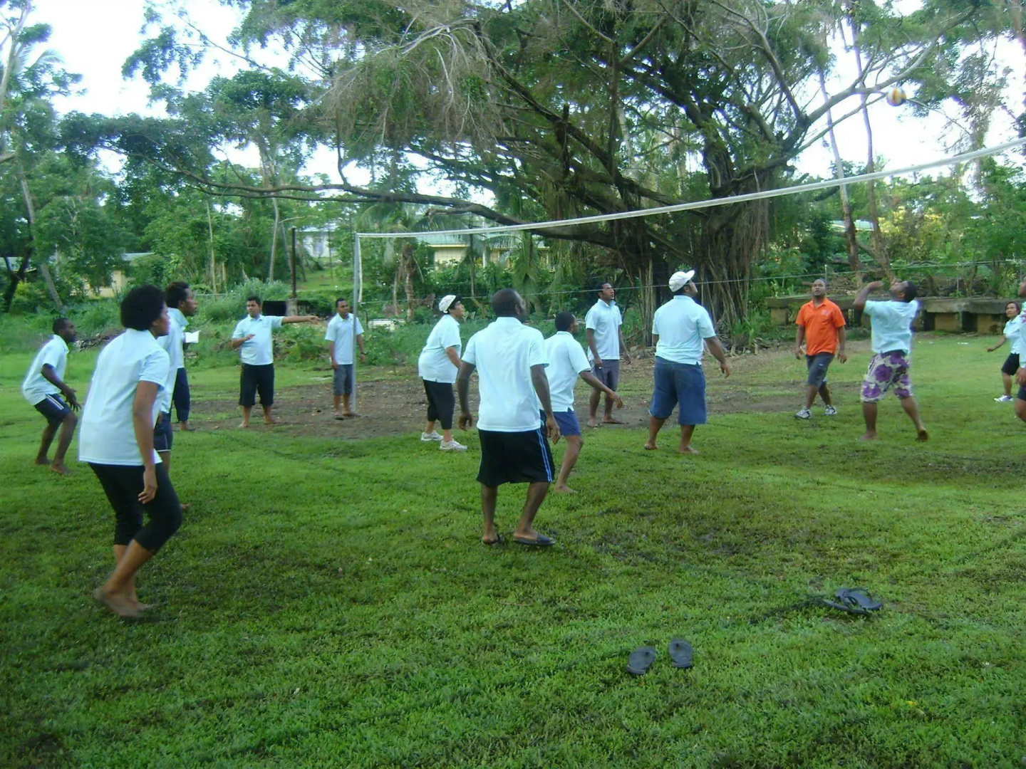 Tanoa Skylodge Hotel