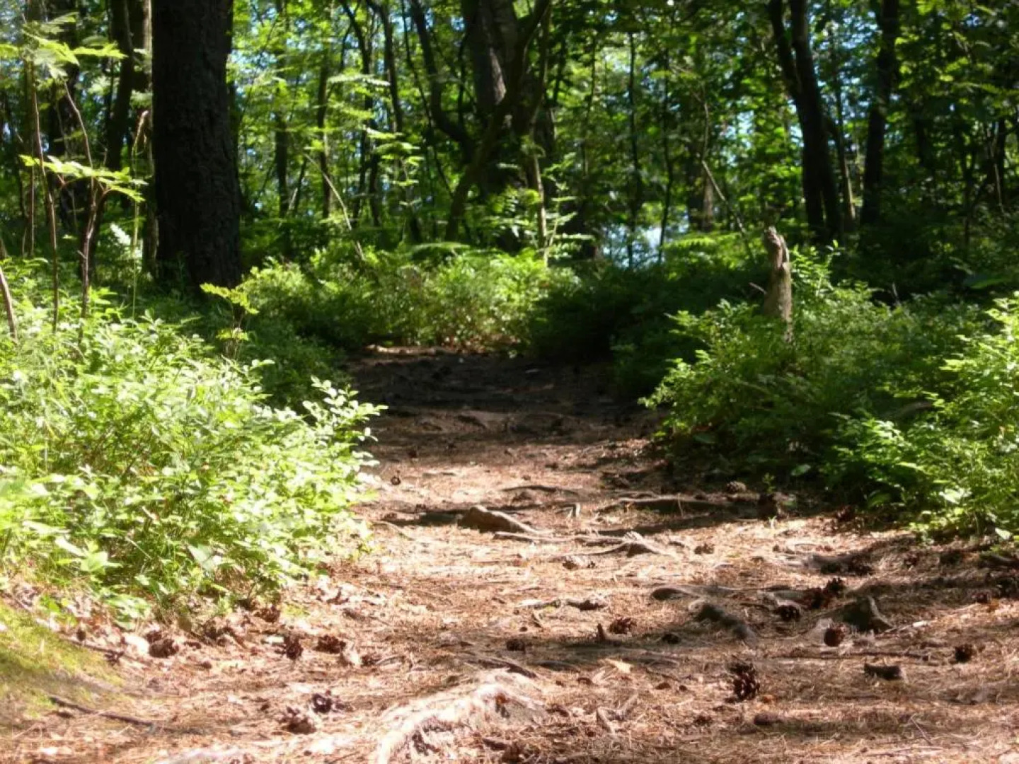 Ośrodek Wypoczynkowy Amber