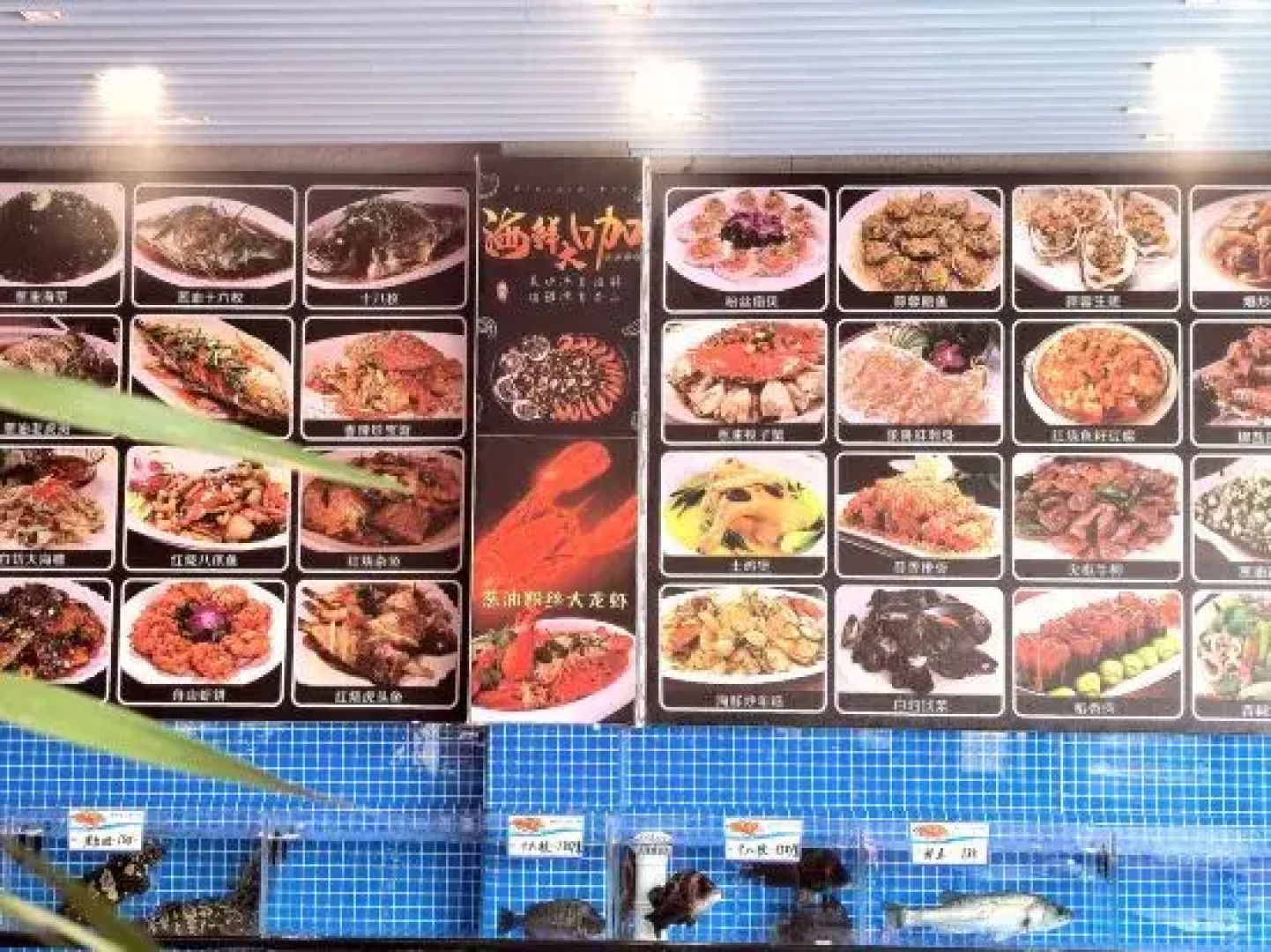 Zhujiajian  seaview  hotel