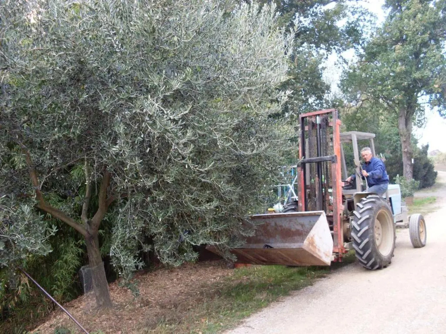 Agriturismo La Marletta