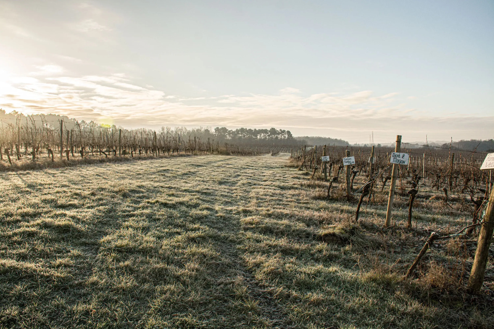 VANDENBELD Wines B&B