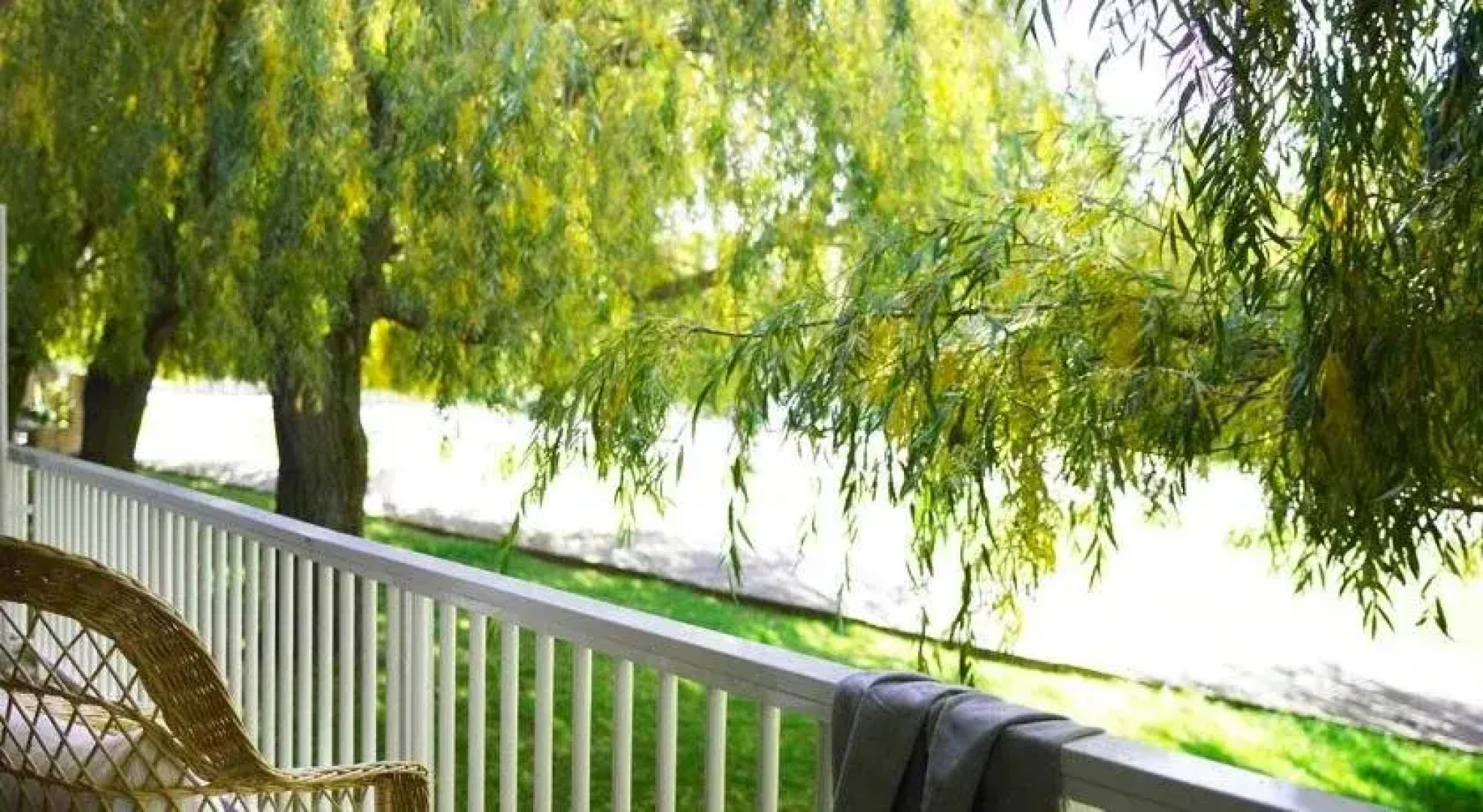 Estrella del Bajo Carrión