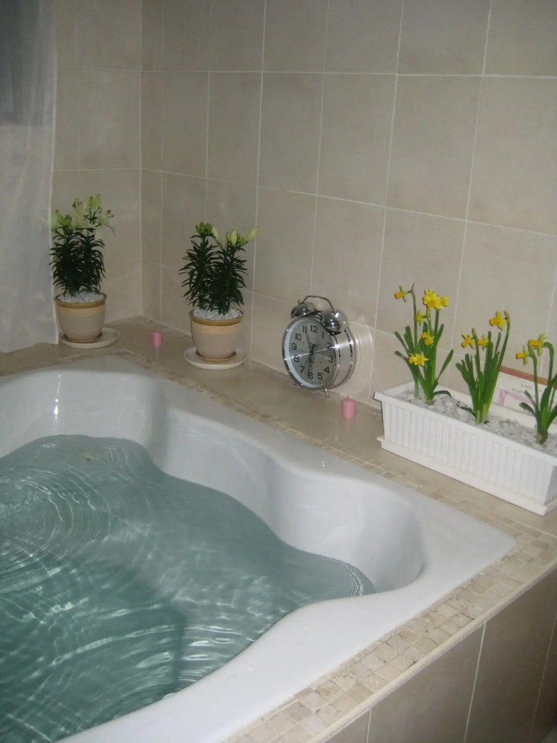 Mendelssohn Manor Guest House