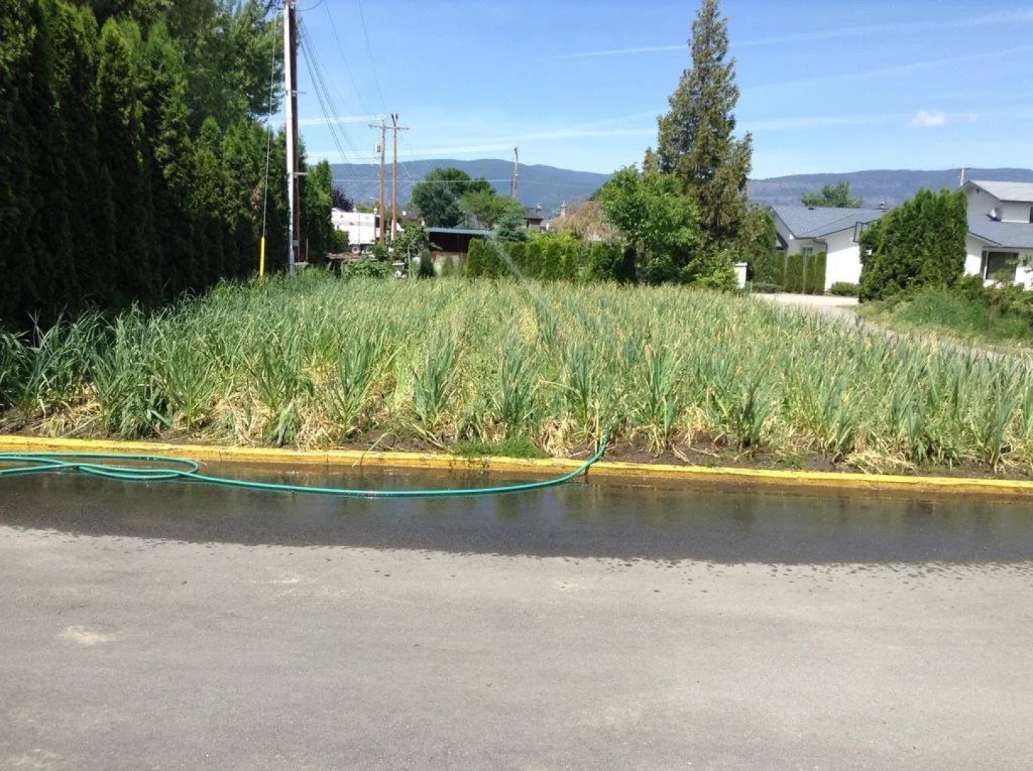 All Seasons Bed & Breakfast