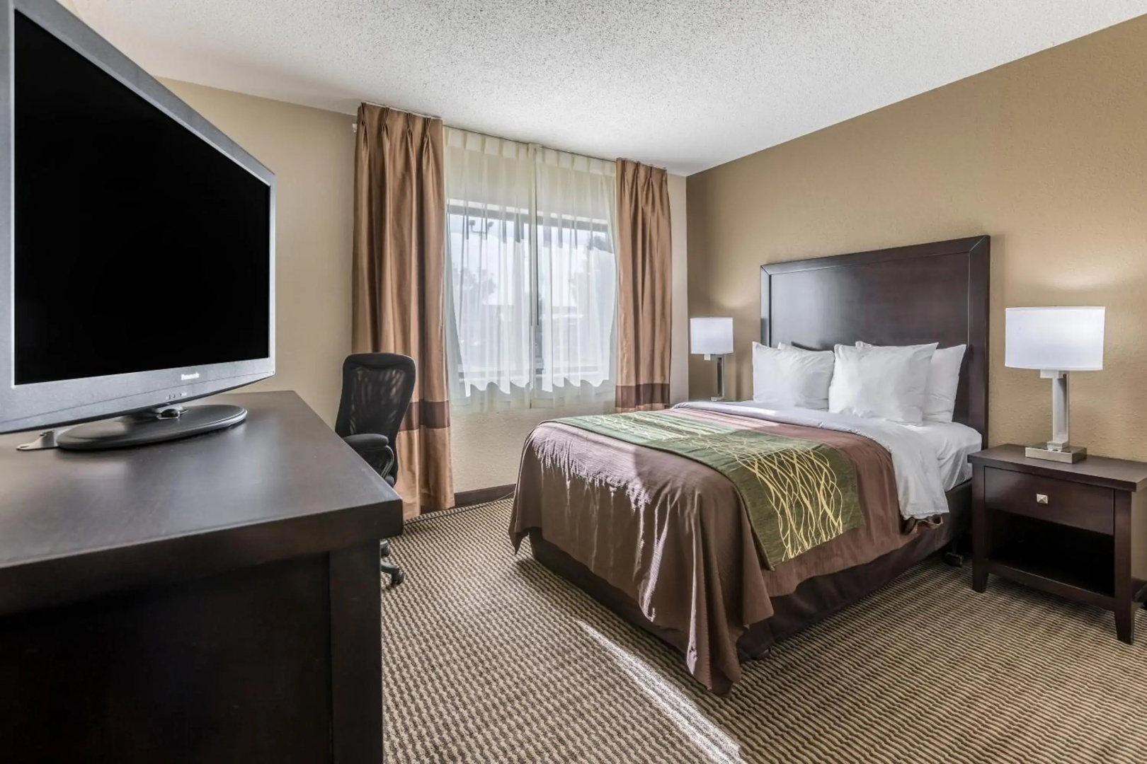 Comfort Inn Detroit Downtown