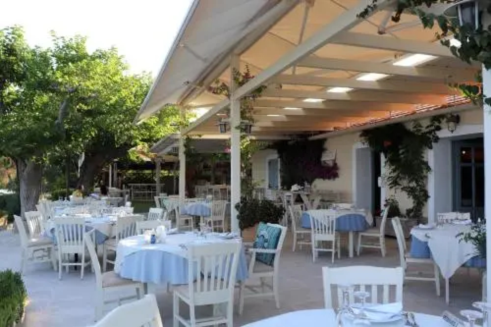 Vassia 1