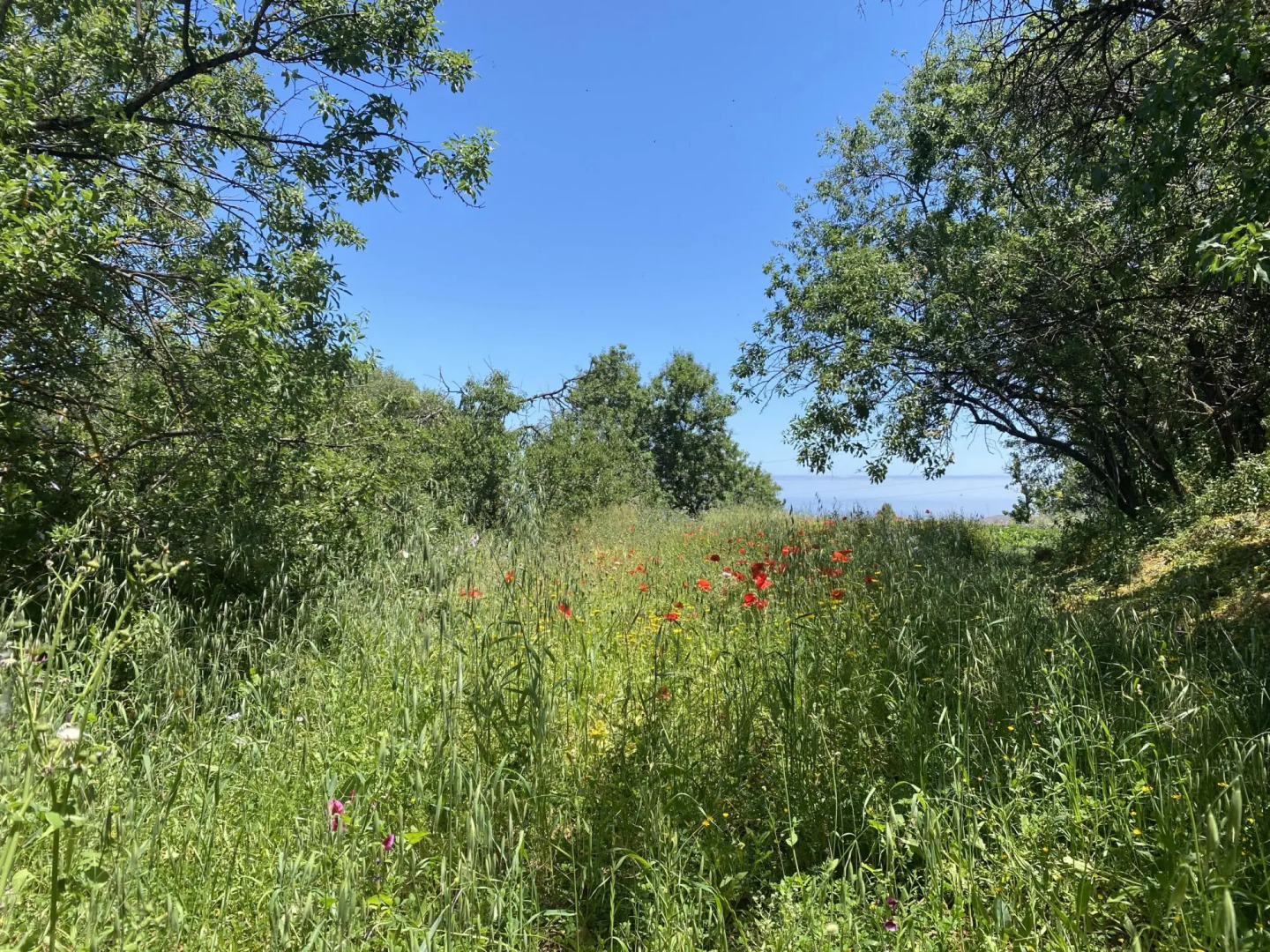 La Maison de la Lune By CanariasGetaway