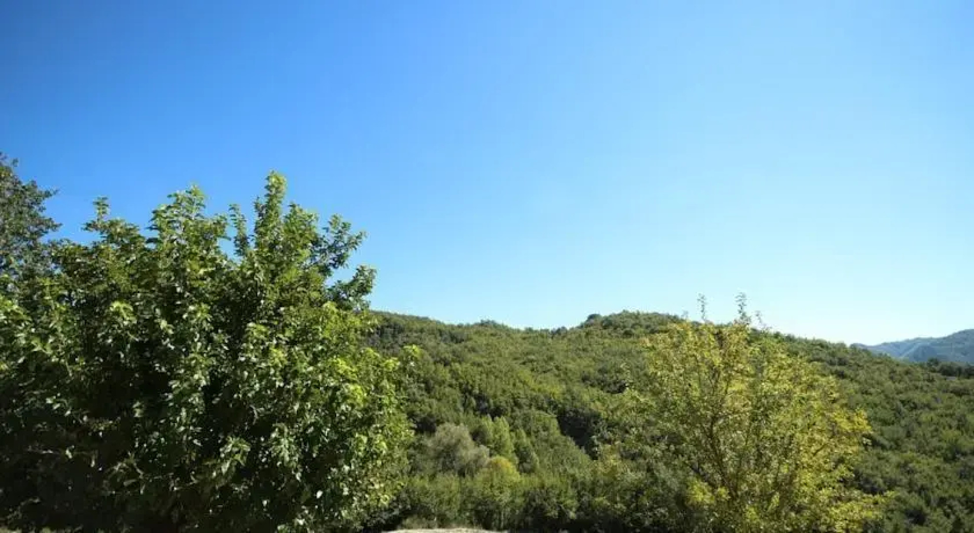 Agriturismo il Casale del Barone