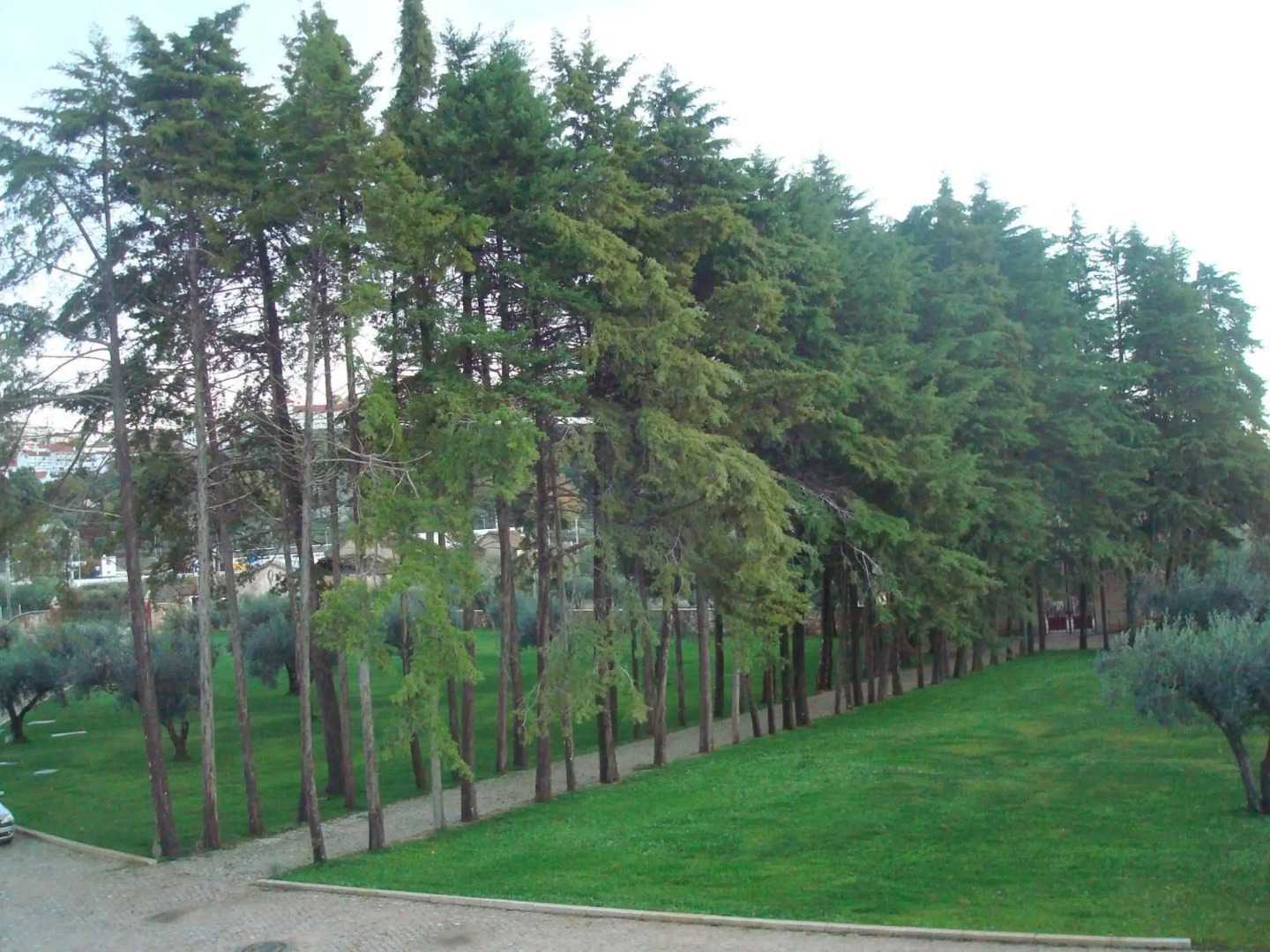 Palace Hotel & Spa Termas de S. Tiago