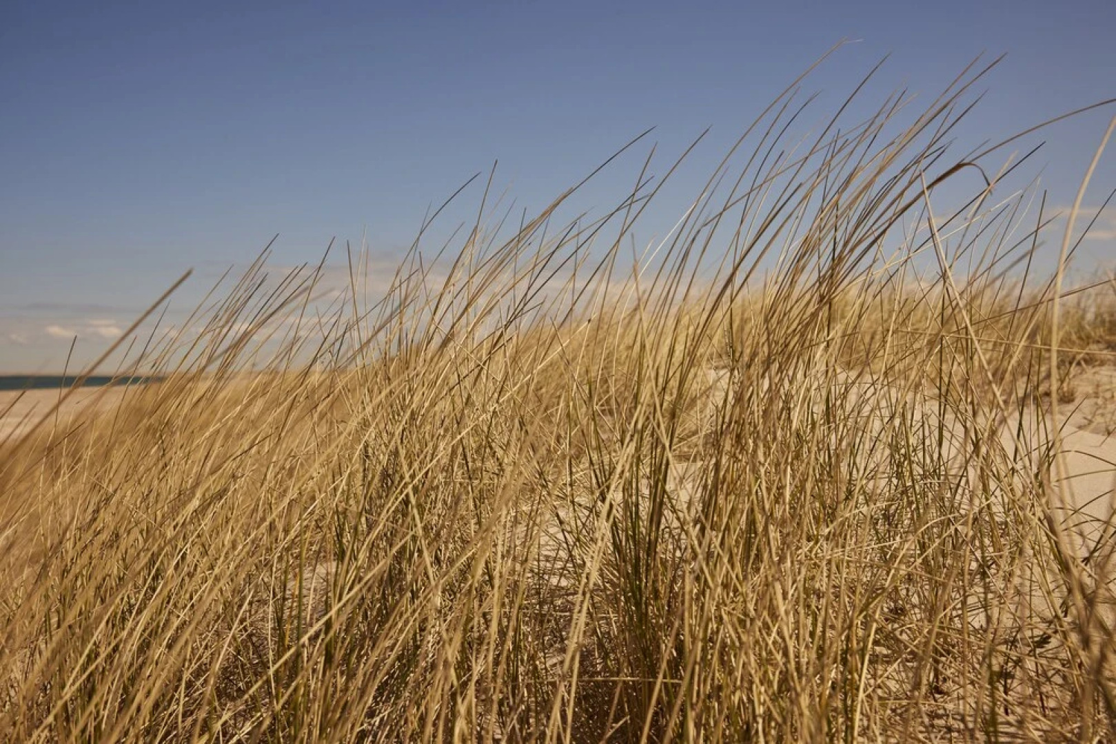 Strandhotel Klitrosen