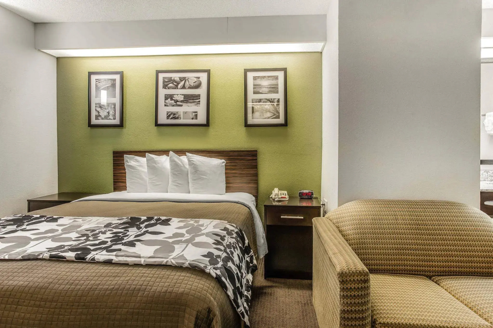 Sleep Inn at Greenville Convention Cente
