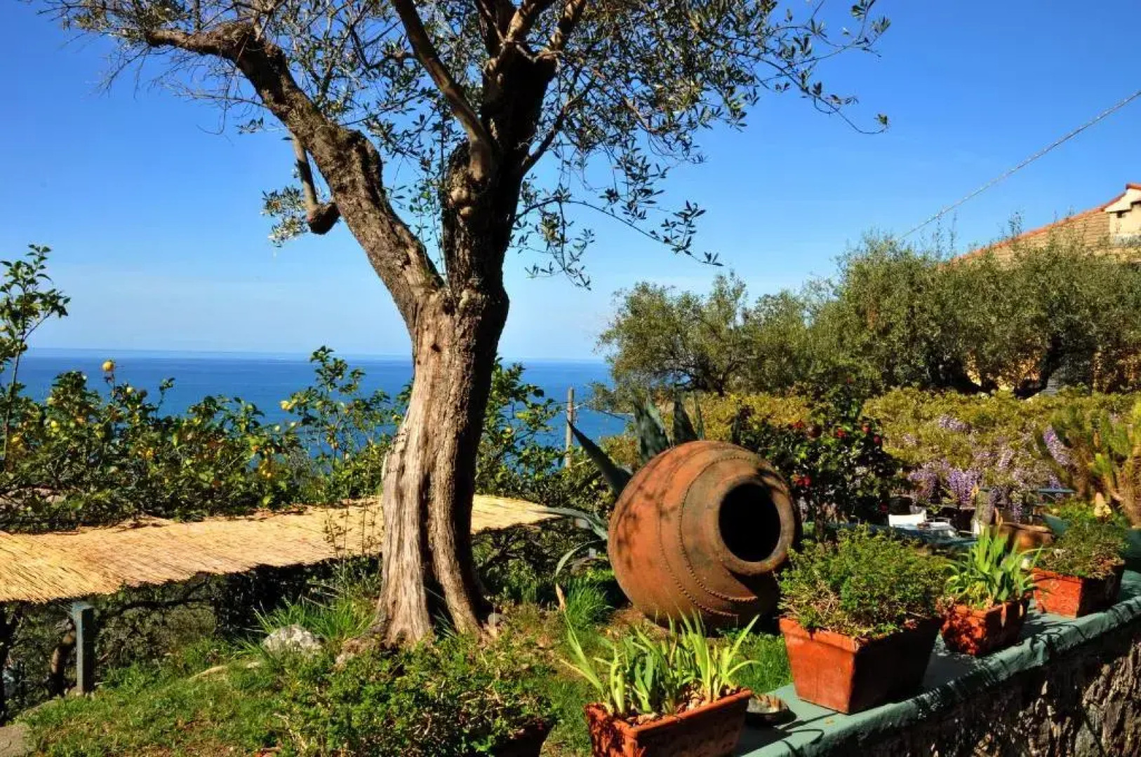 Hotel Villa Belvedere