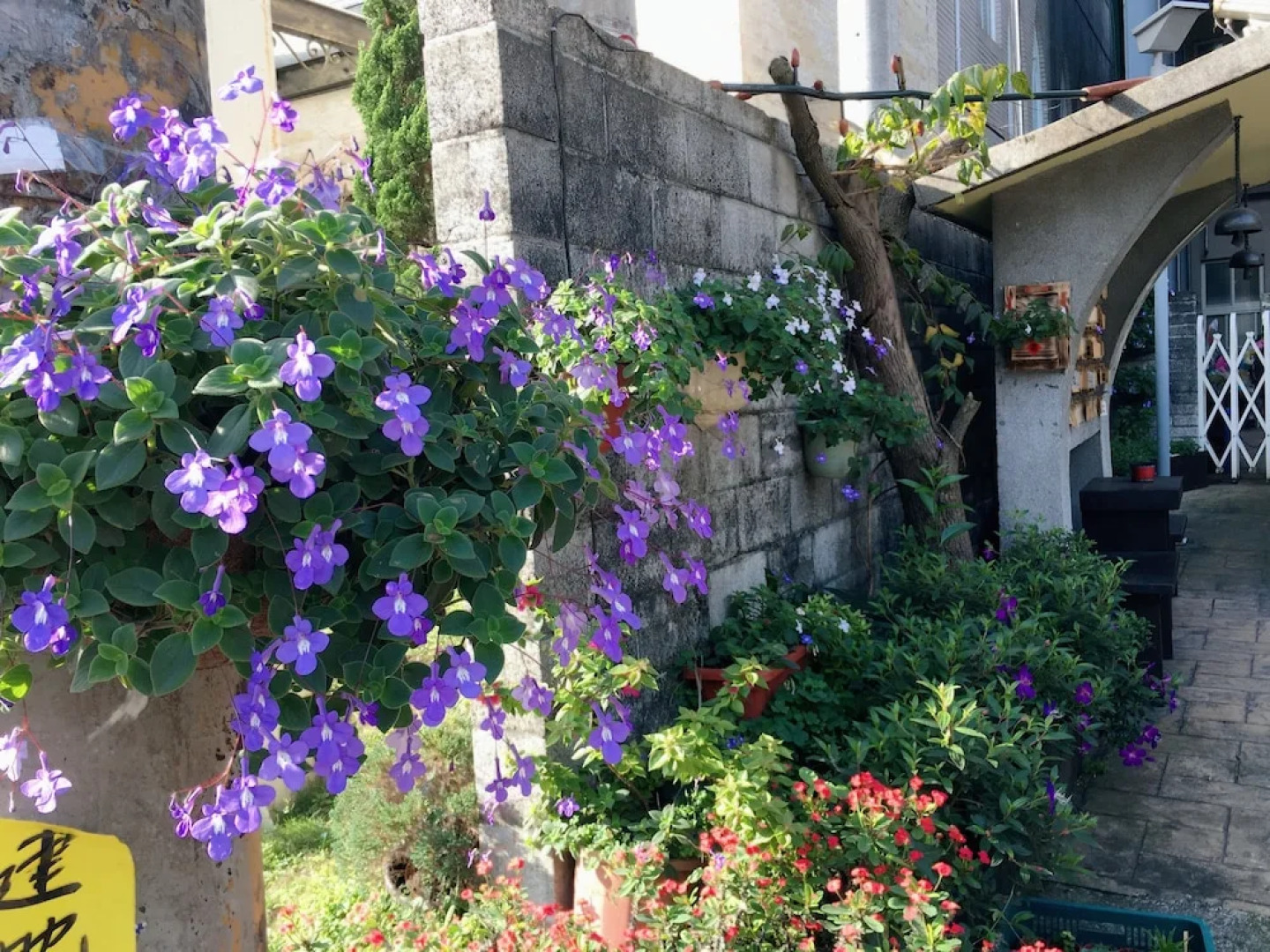 Puli Town Bed and Breakfast