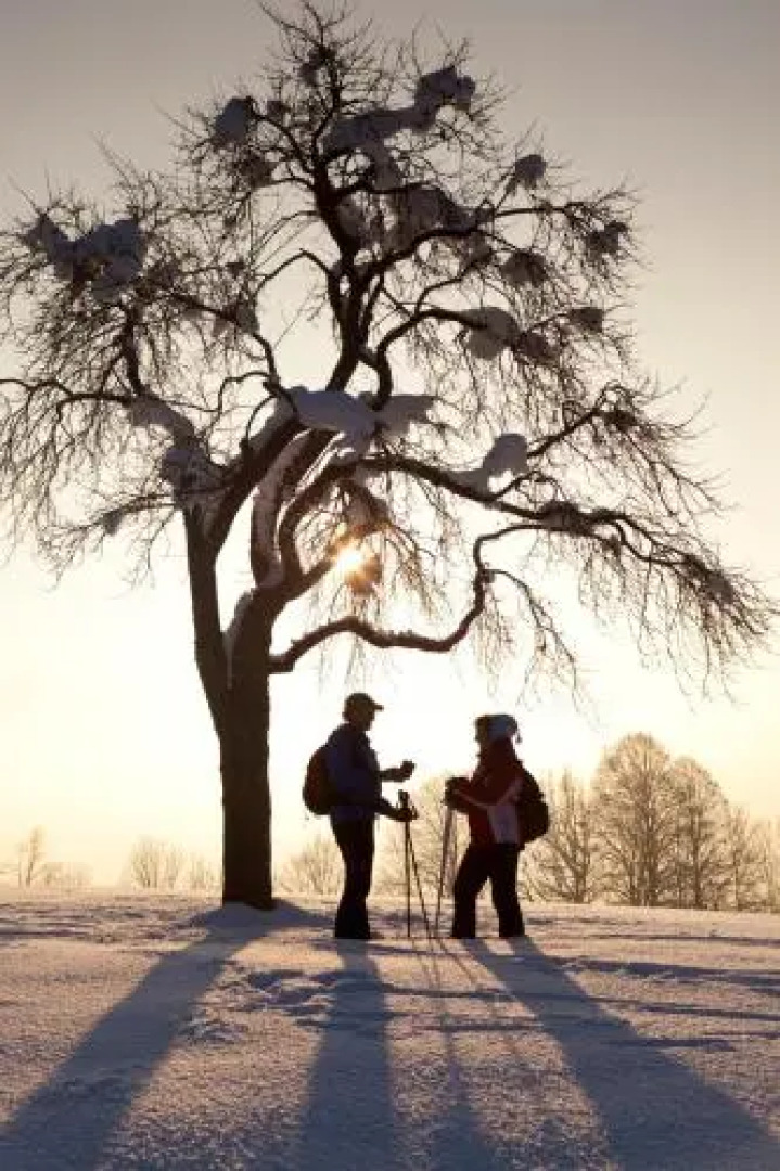 Apartments Tirolerhaus