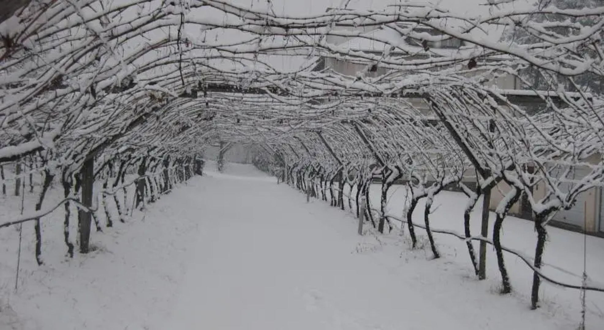 Landhaus Huber Schwembacher