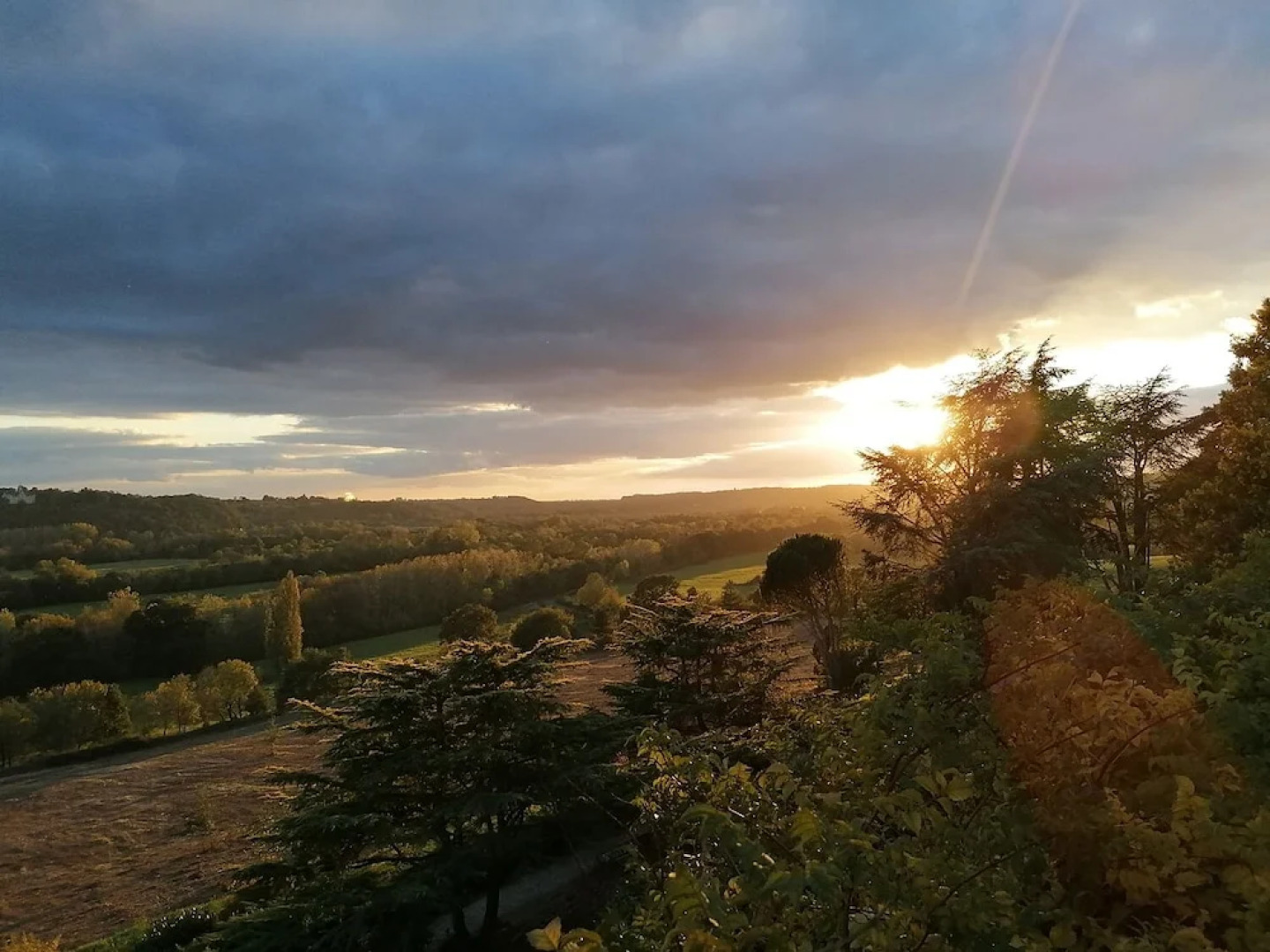 Château Haute Roche