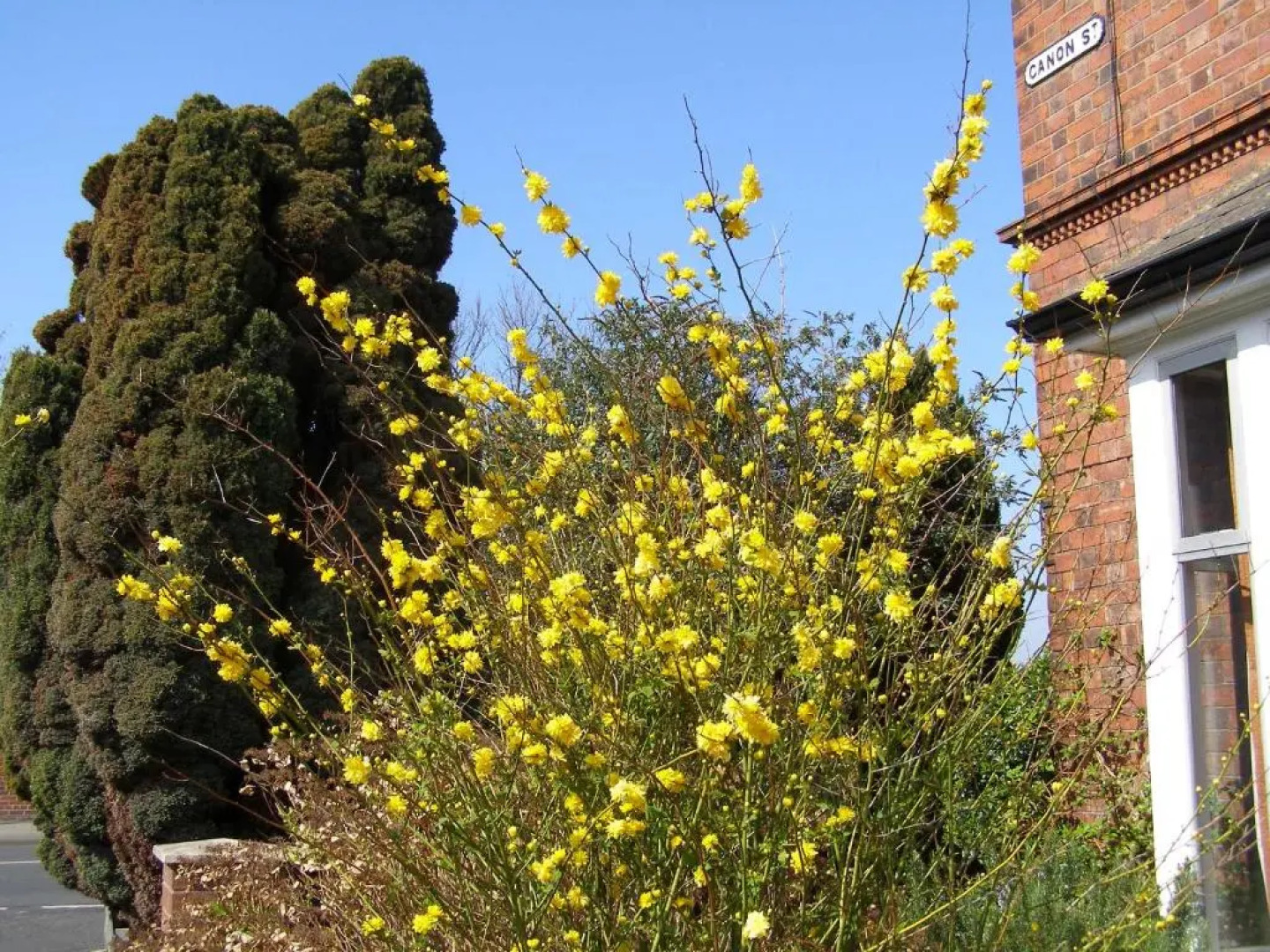 Anton Guest House B&B