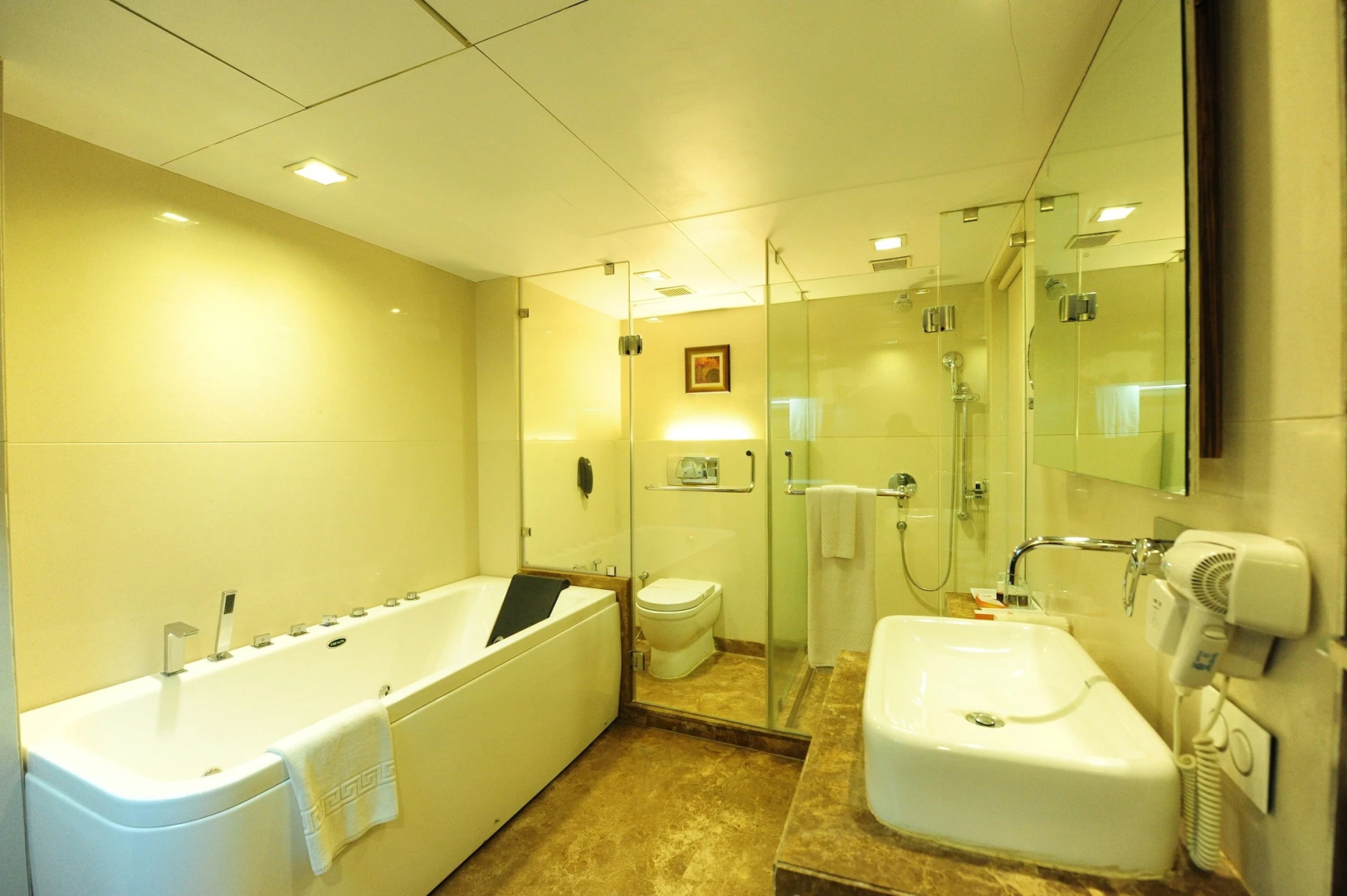 Hotel Suba Star, Ahmedabad