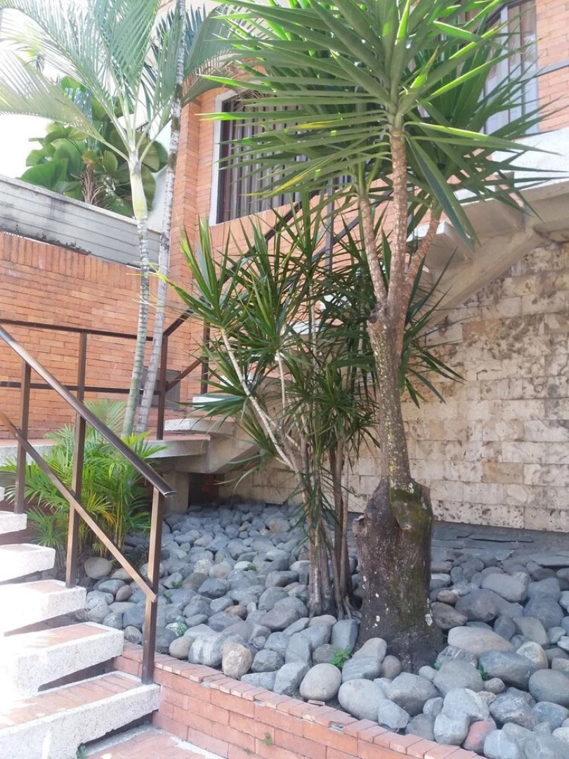 Dharana Casa Boutique