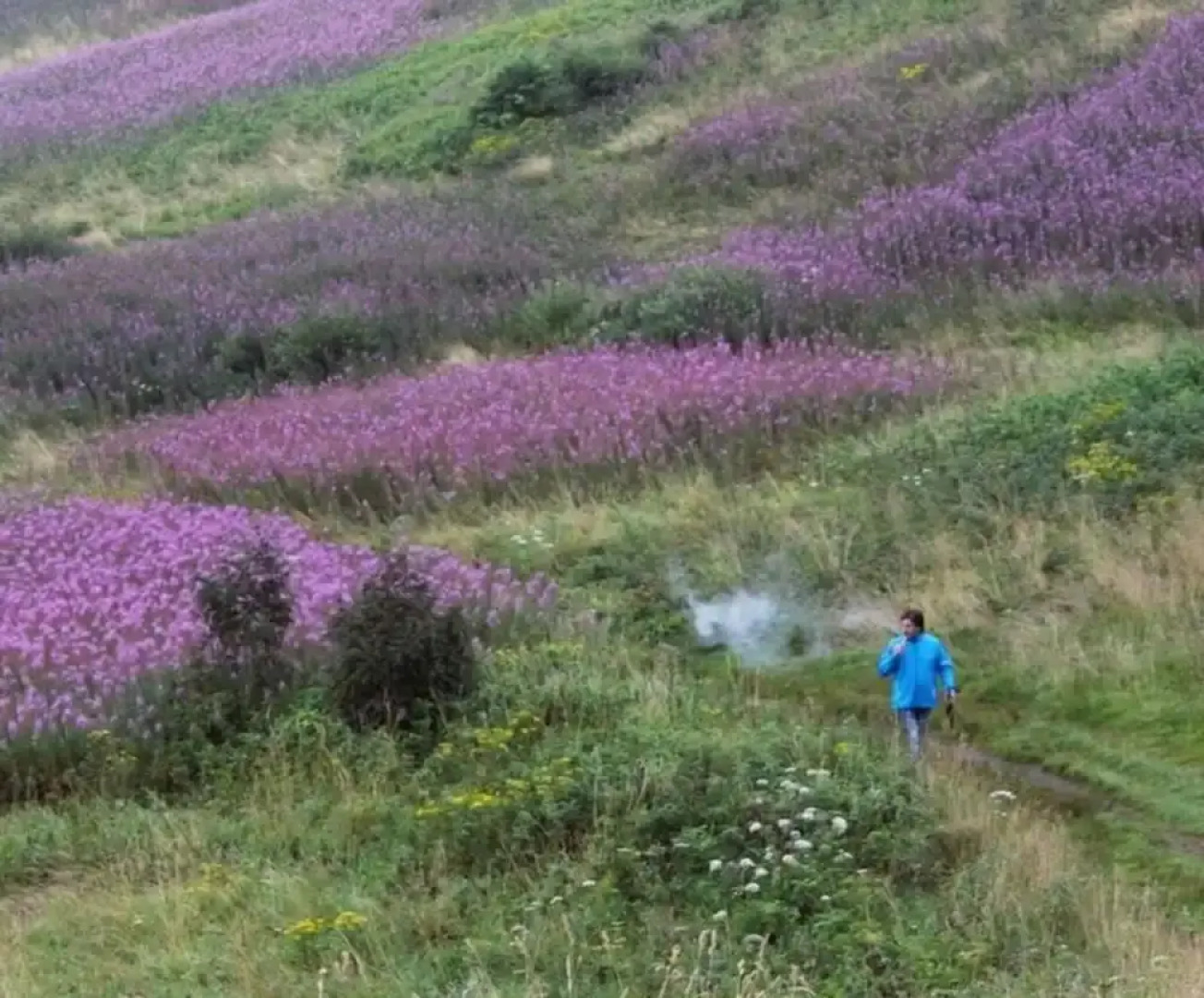 Apartment in Olsberg