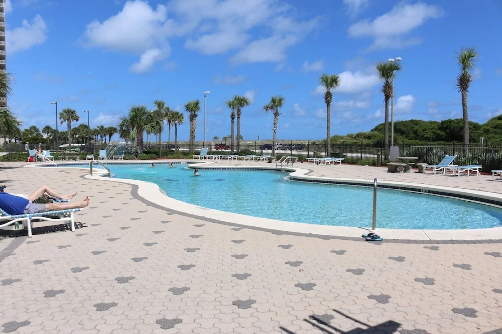 Emerald Dolphin by Surfside VR