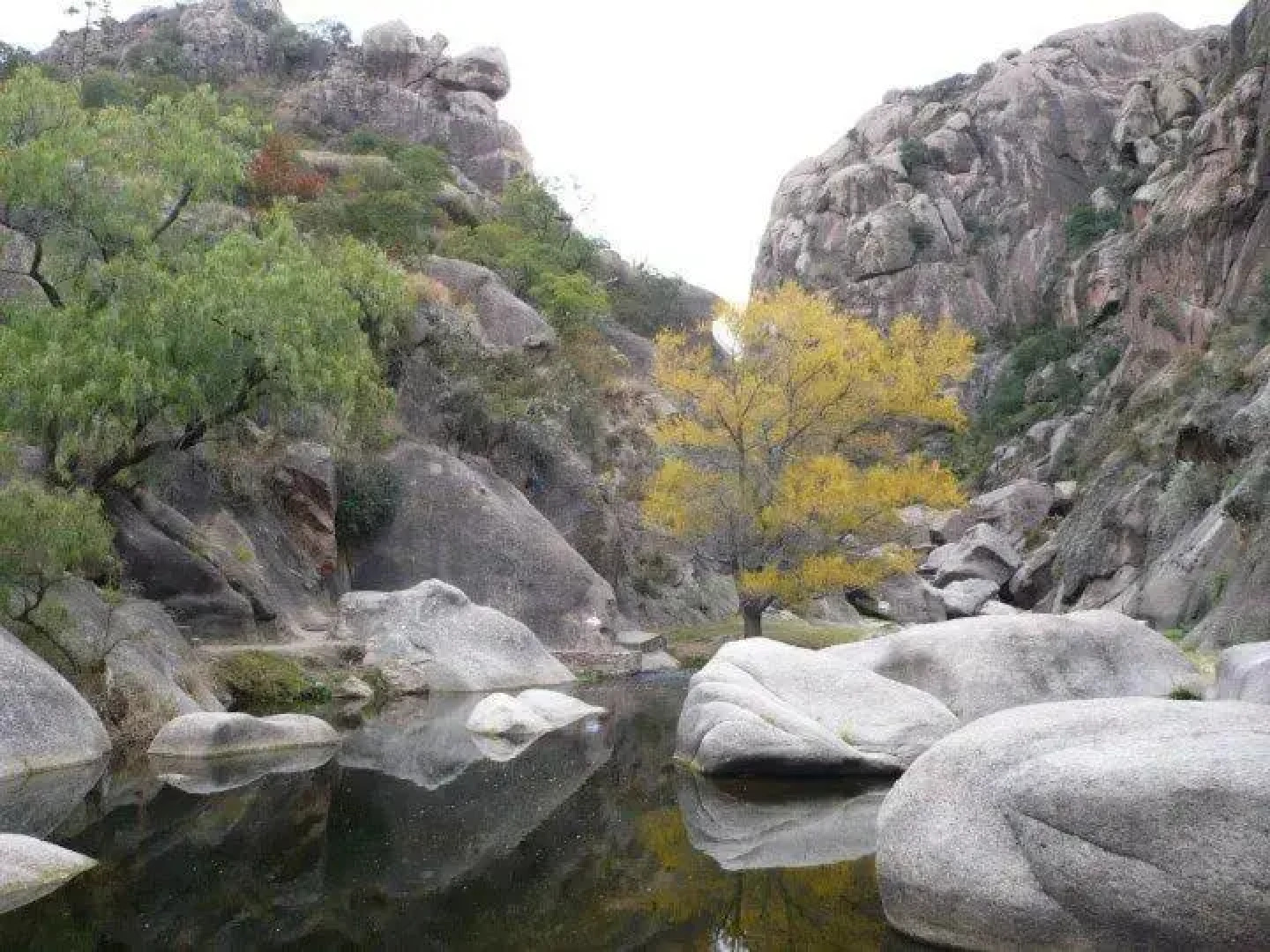 Cabañas Esferas de Cristal